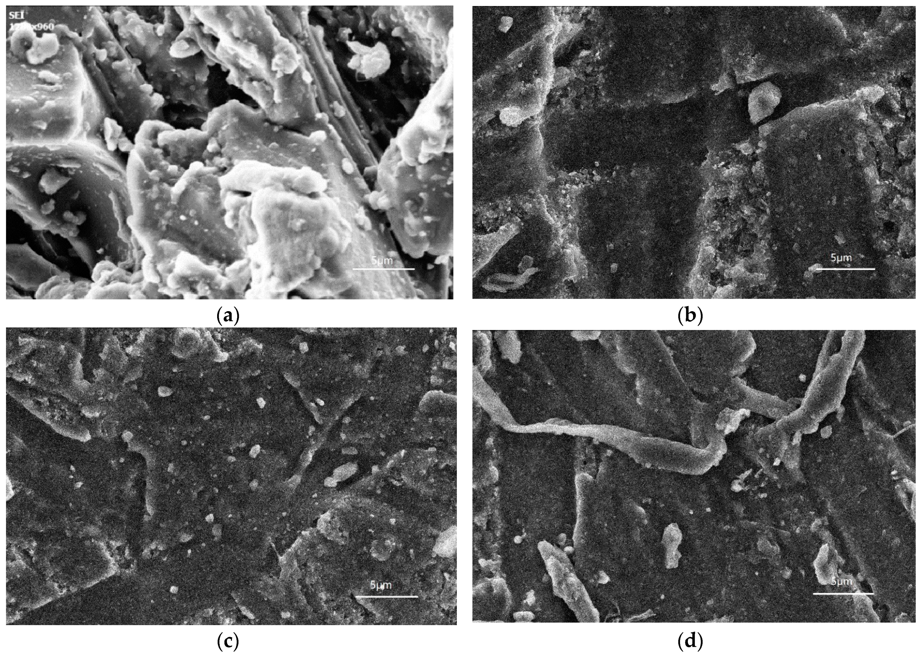 Materials 12 04120 g006