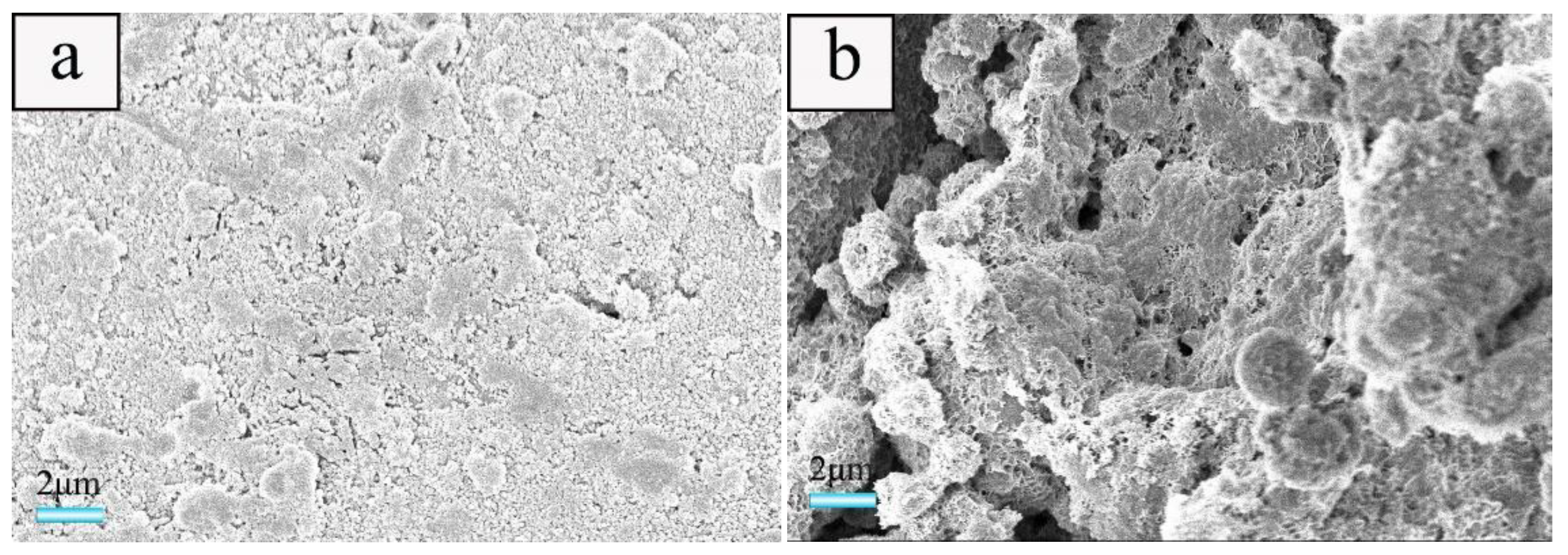 Materials 12 04124 g005a Materials 12 04124 g005a