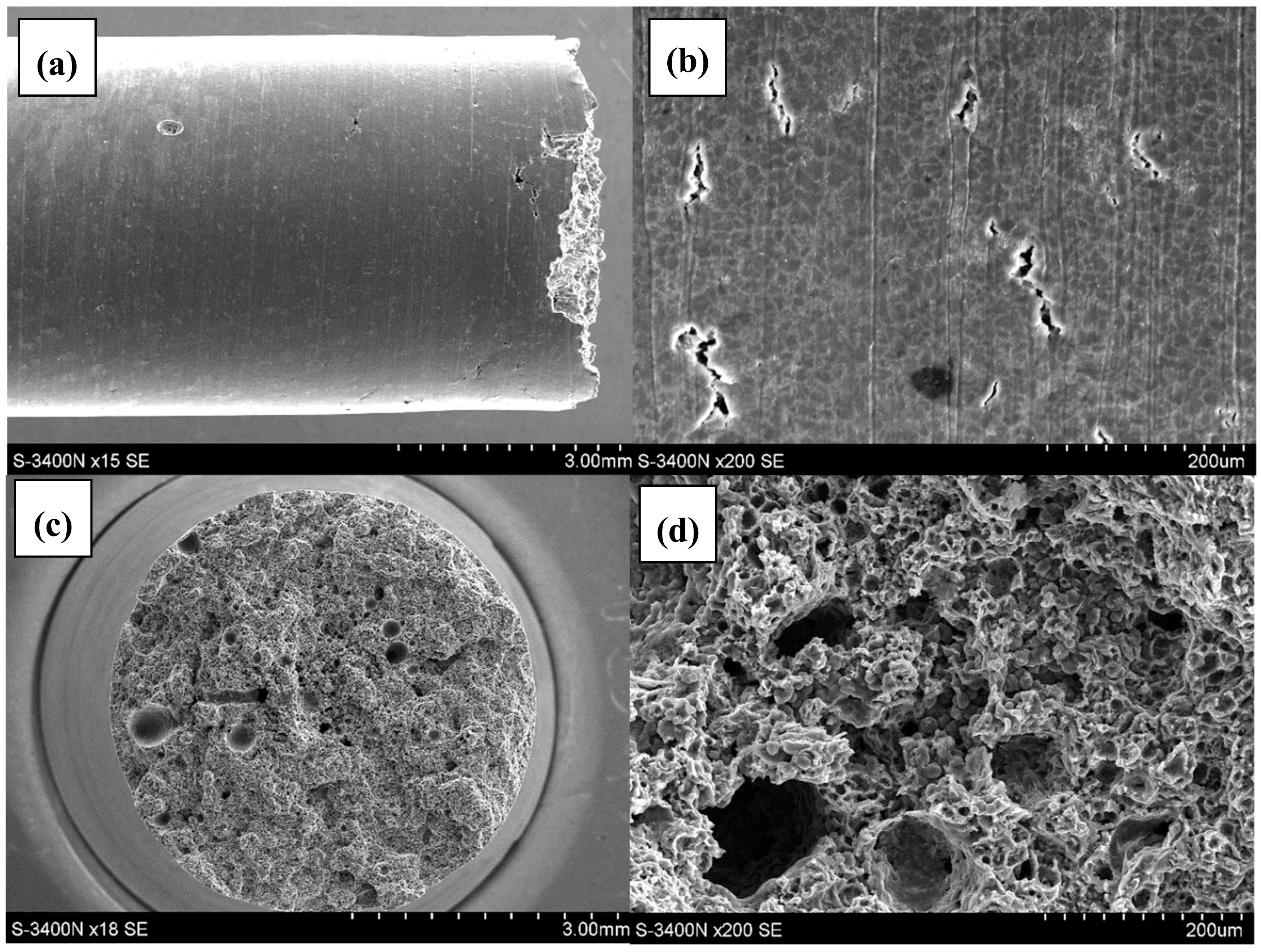 Materials 12 04125 g004 Materials 12 04125 g004