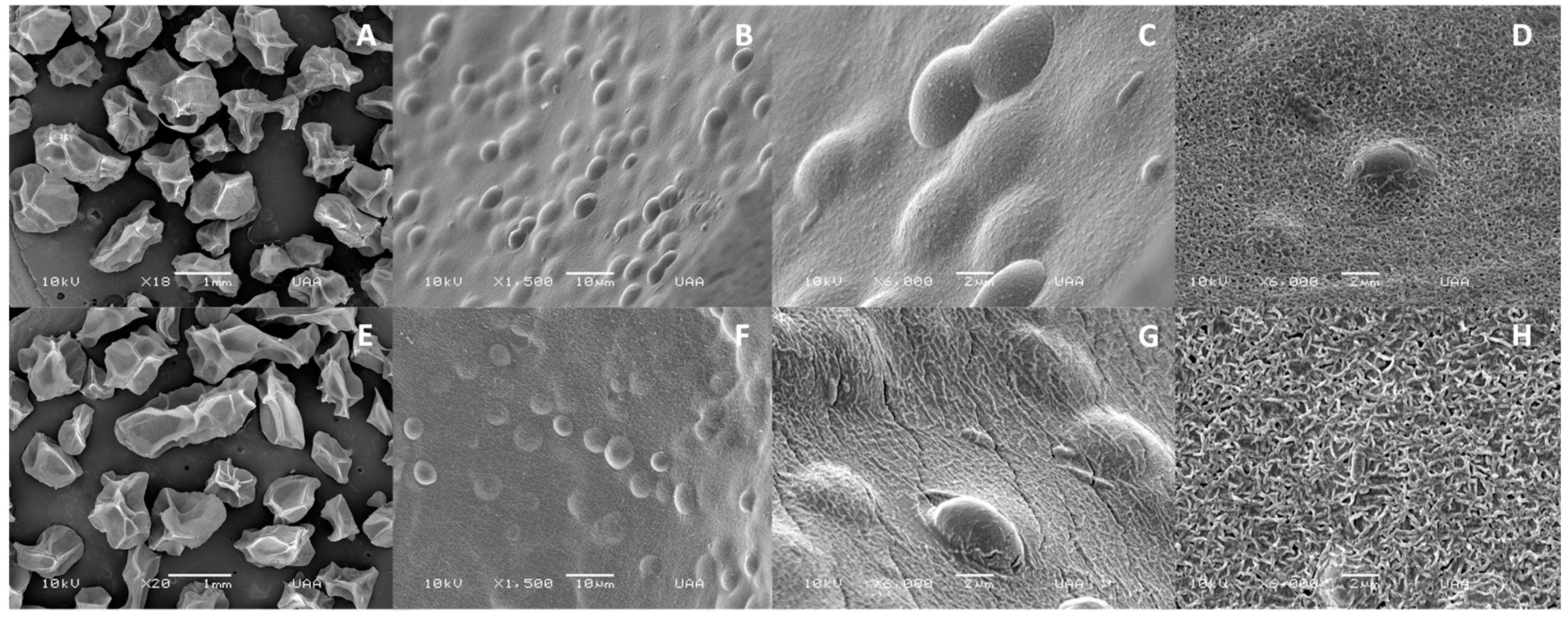 Materials 12 04128 g003 Materials 12 04128 g003