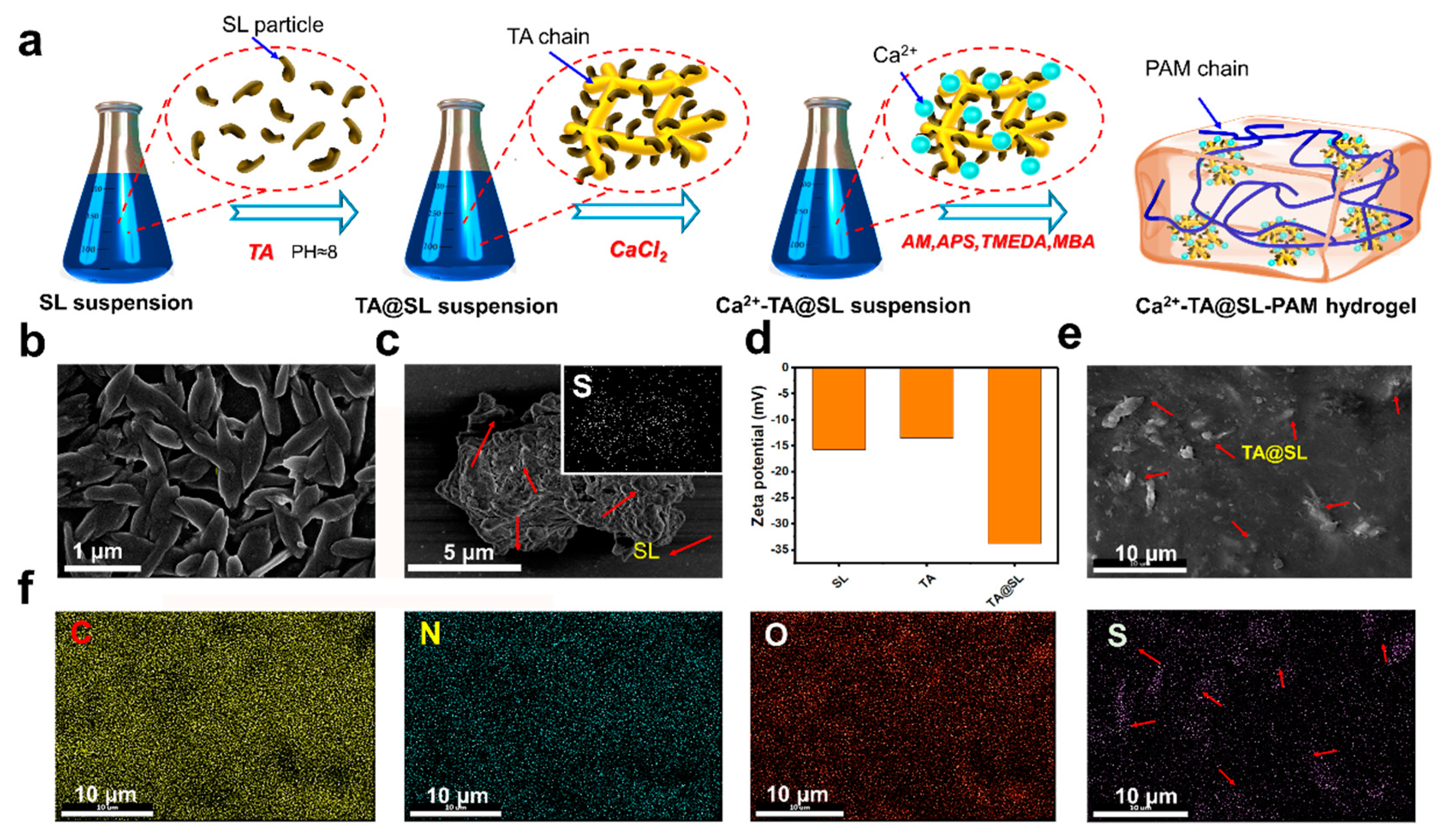 Materials 12 04135 g001 Materials 12 04135 g001