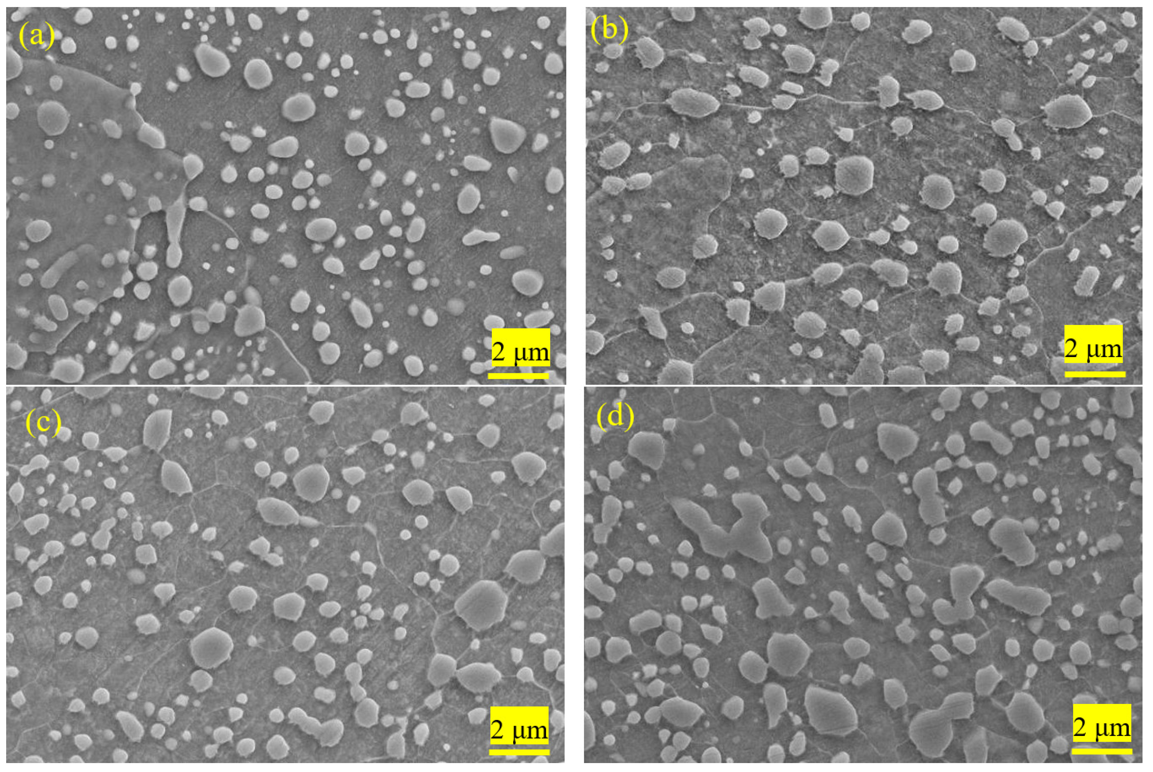 Materials 12 04136 g003a Materials 12 04136 g003a