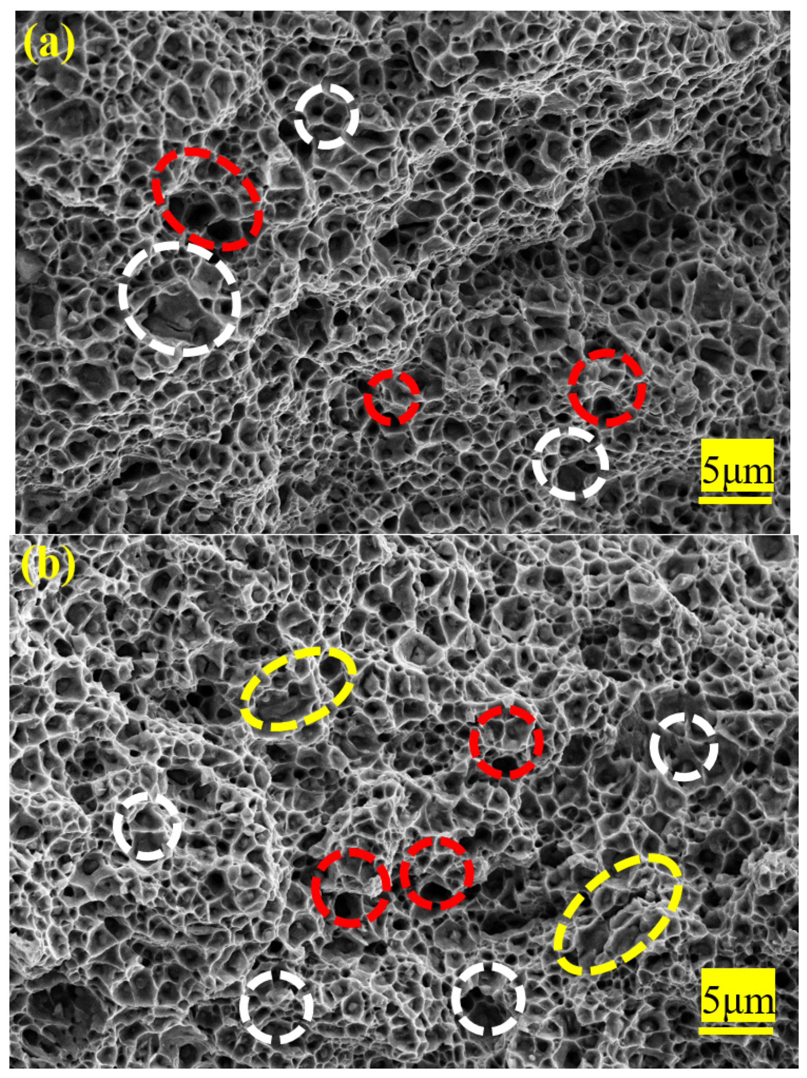 Materials 12 04136 g012 Materials 12 04136 g012
