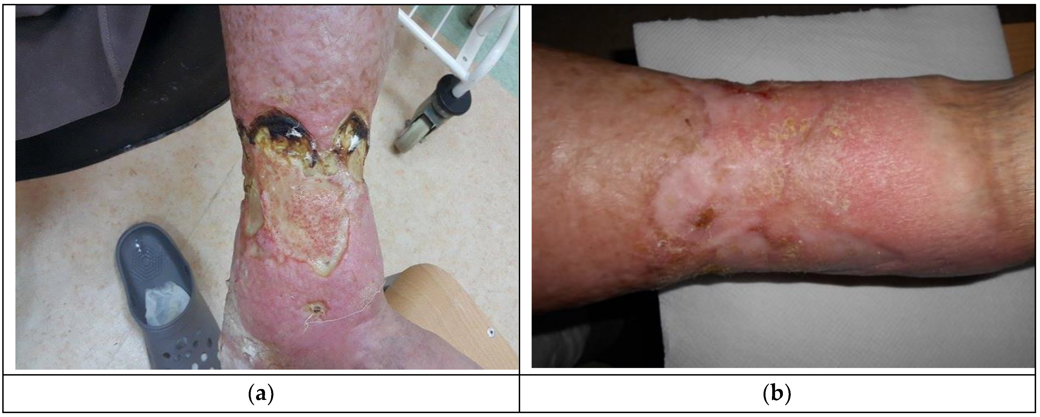 Materials 12 04170 g003