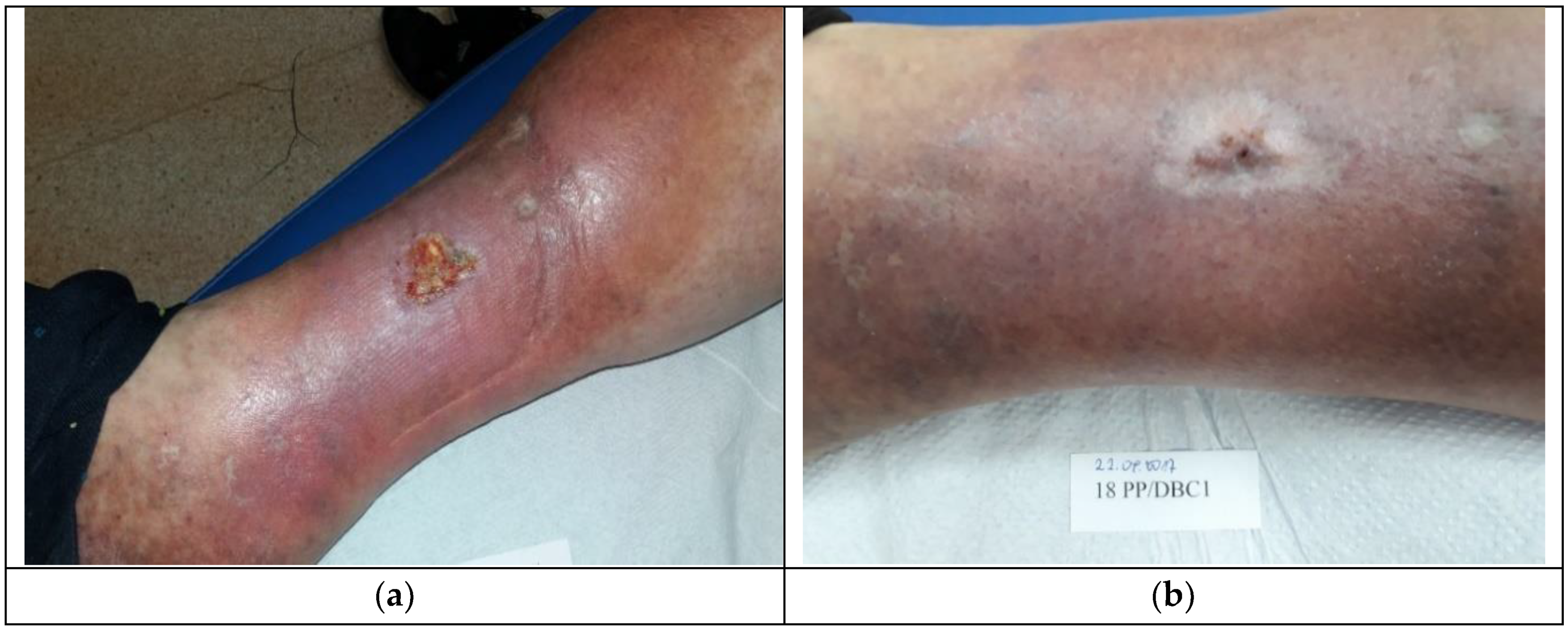 Materials 12 04170 g004