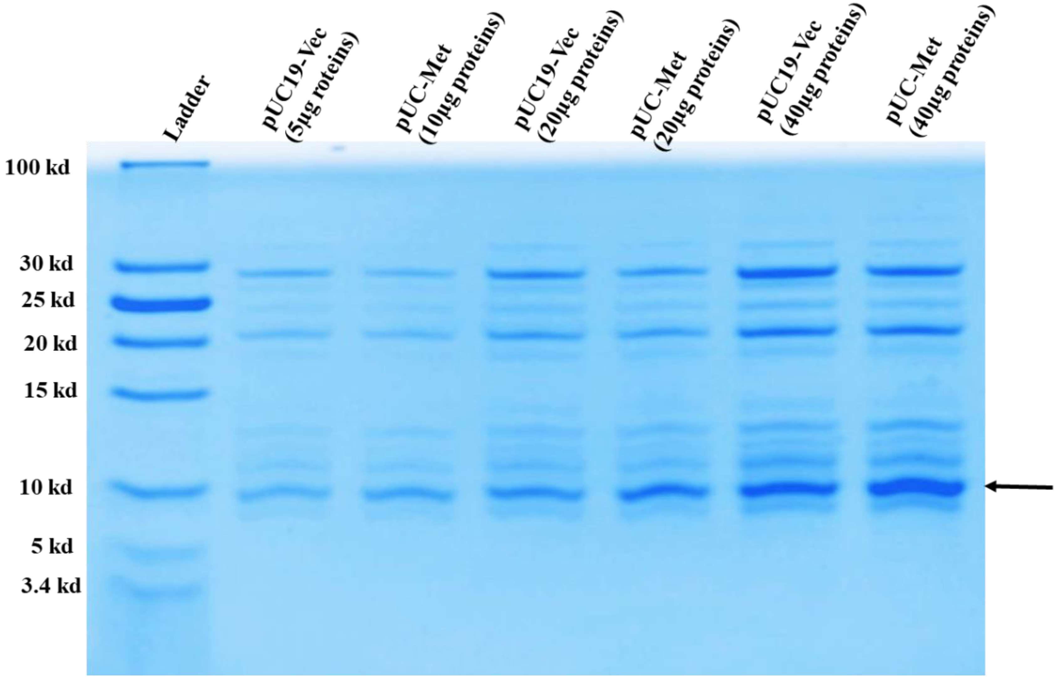 Materials 12 04180 g002