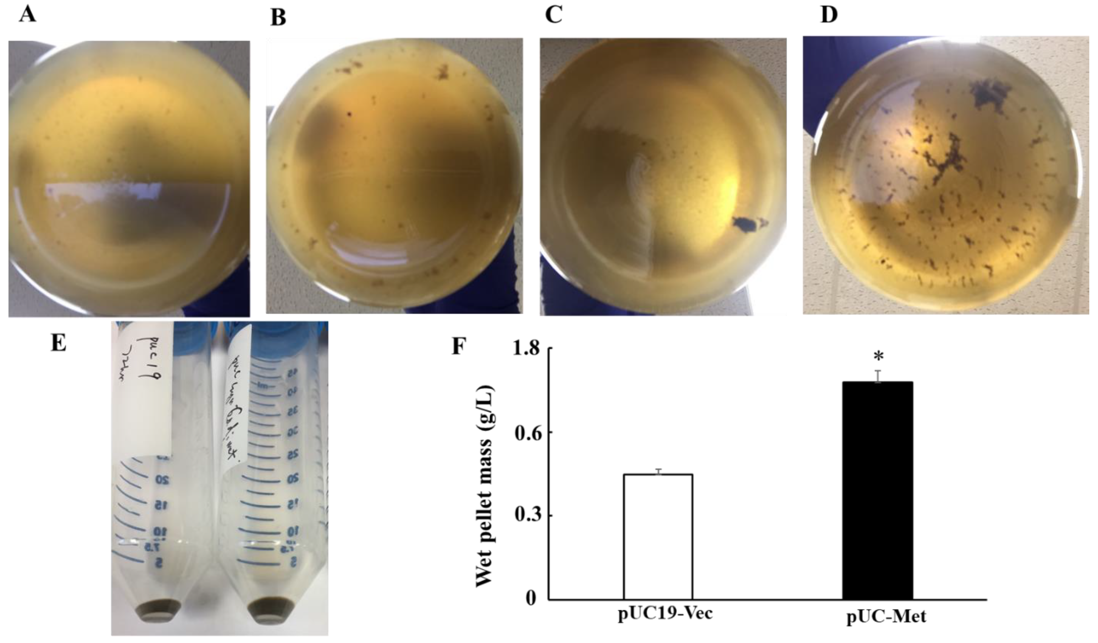 Materials 12 04180 g004