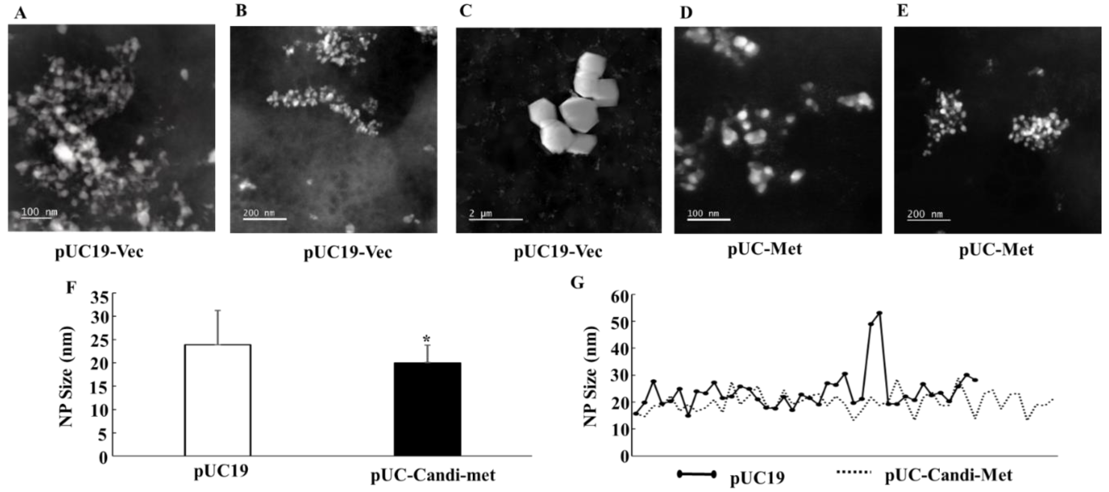 Materials 12 04180 g008