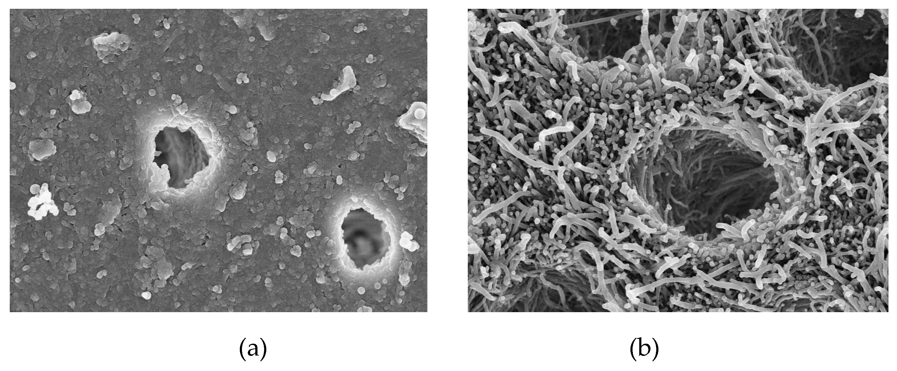 Materials 12 04183 g002