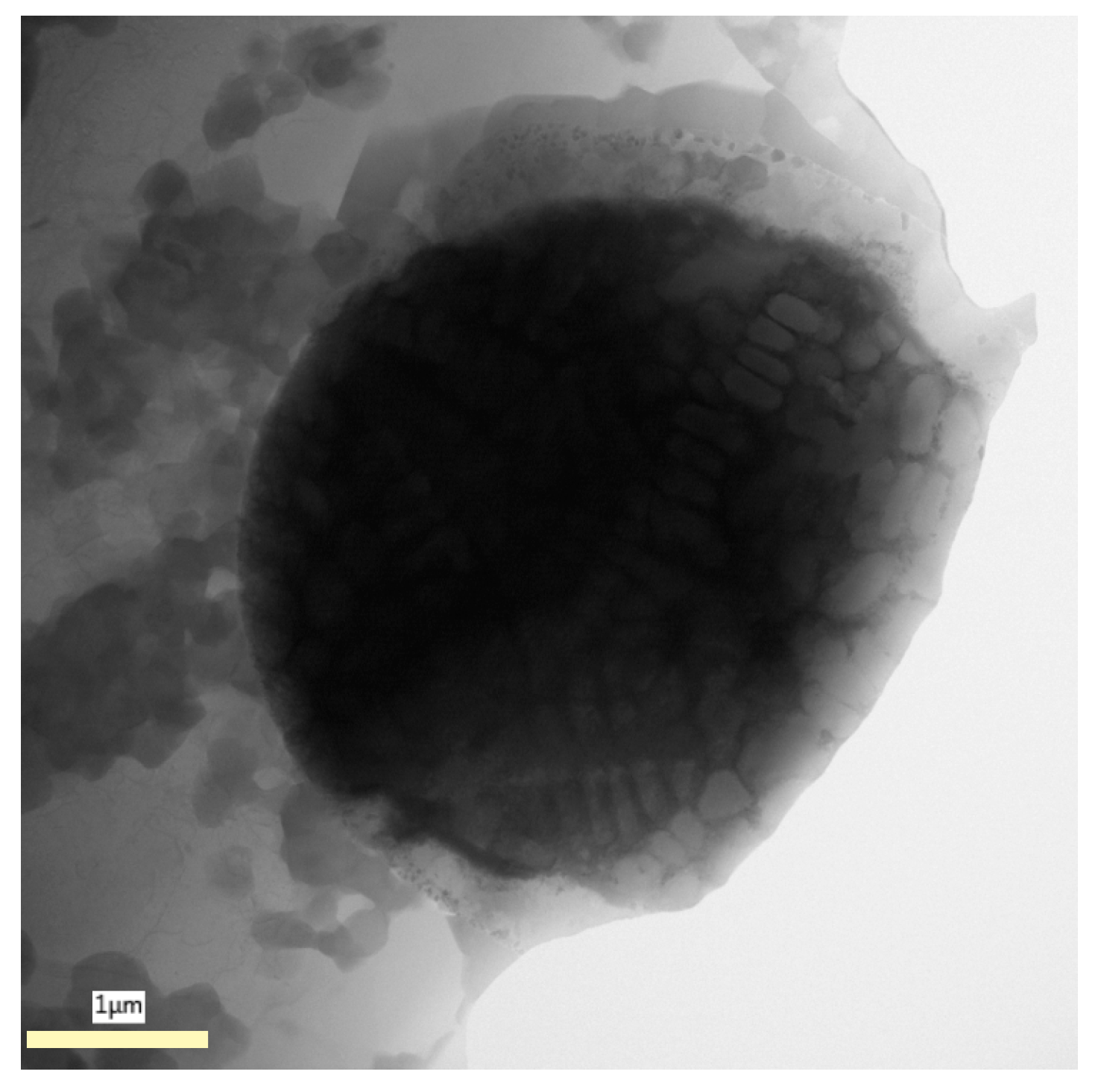 Materials 12 04193 g003