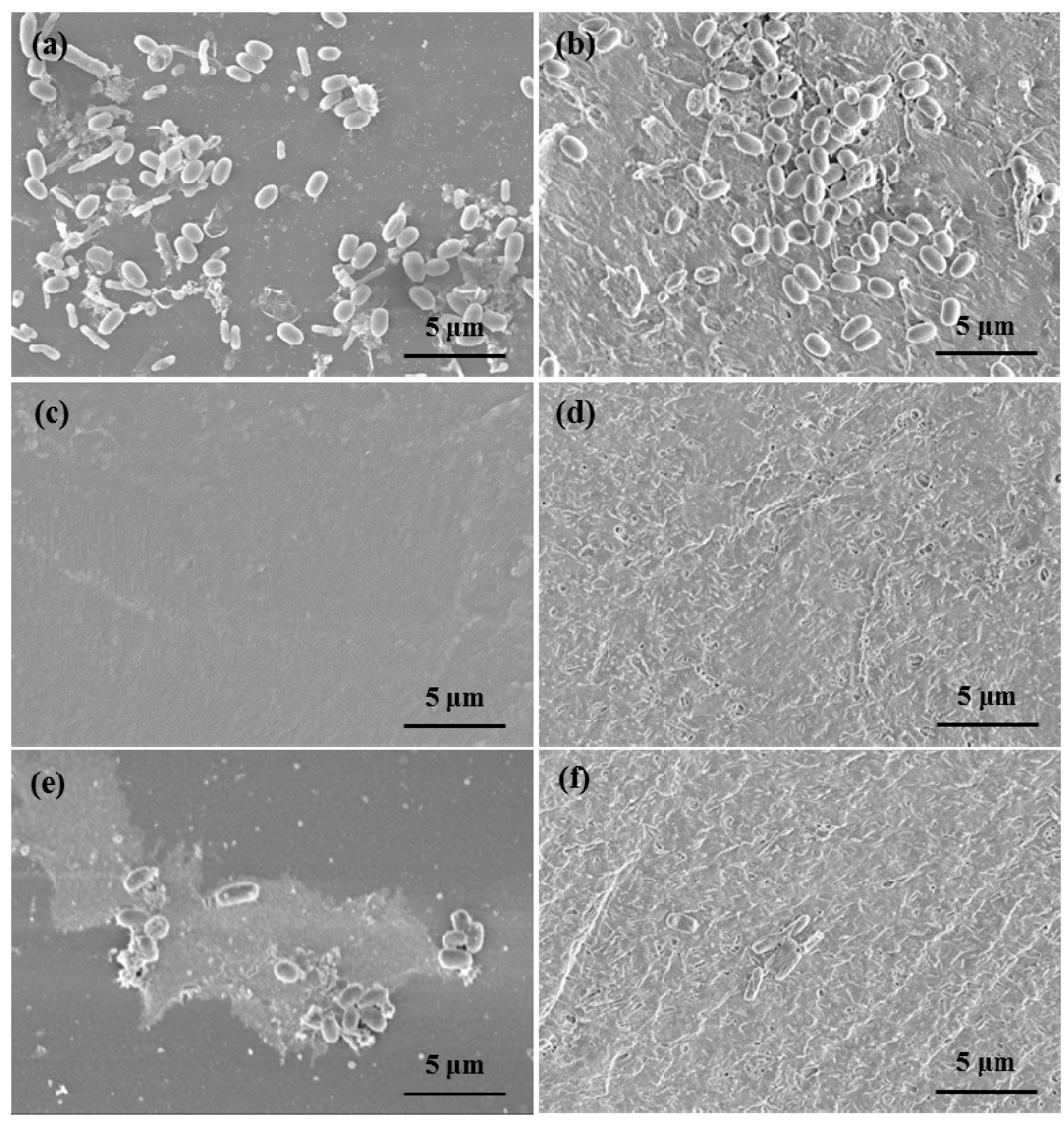Materials 12 04195 g007 Materials 12 04195 g007