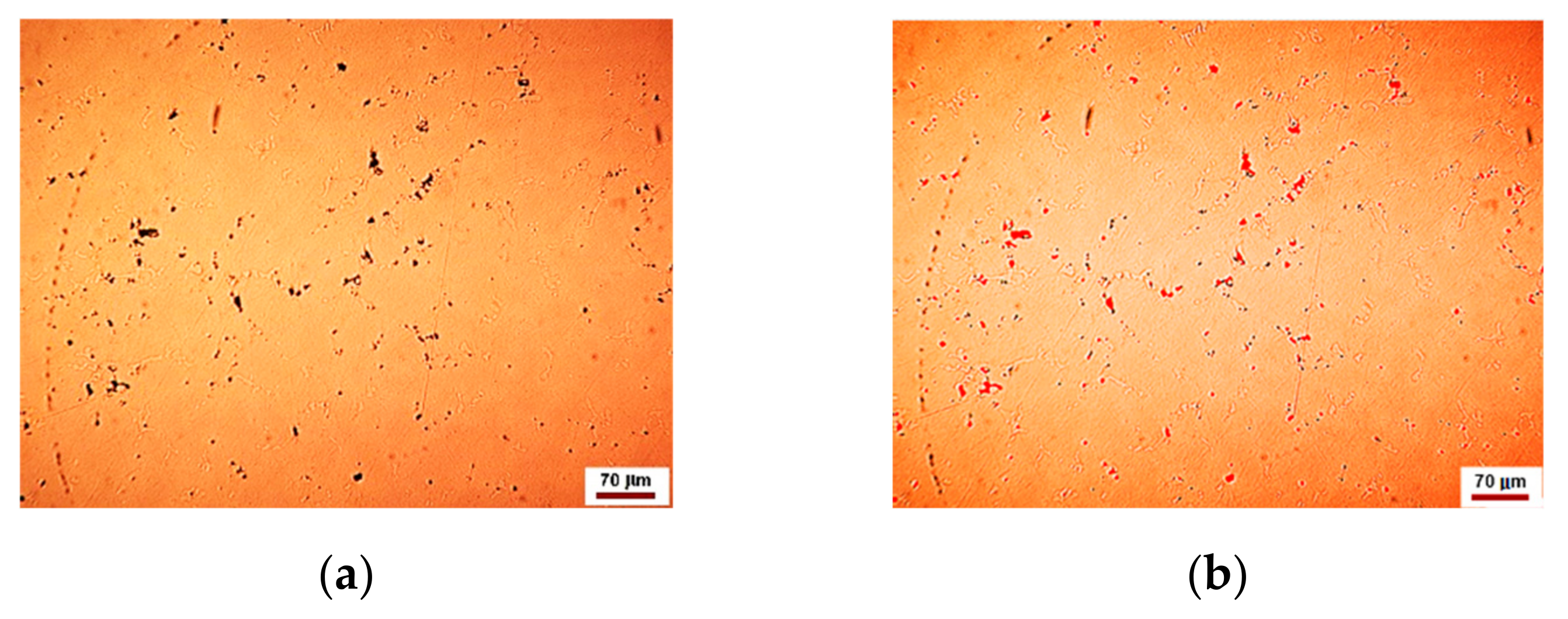 Materials 12 04199 g005a