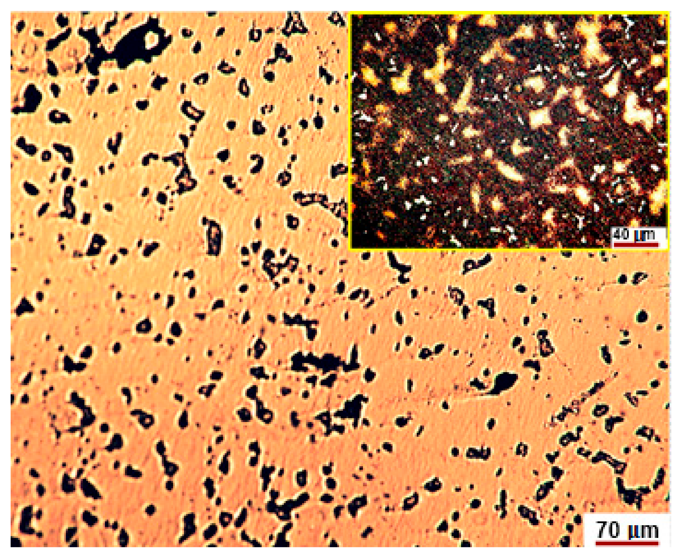 Materials 12 04199 g013