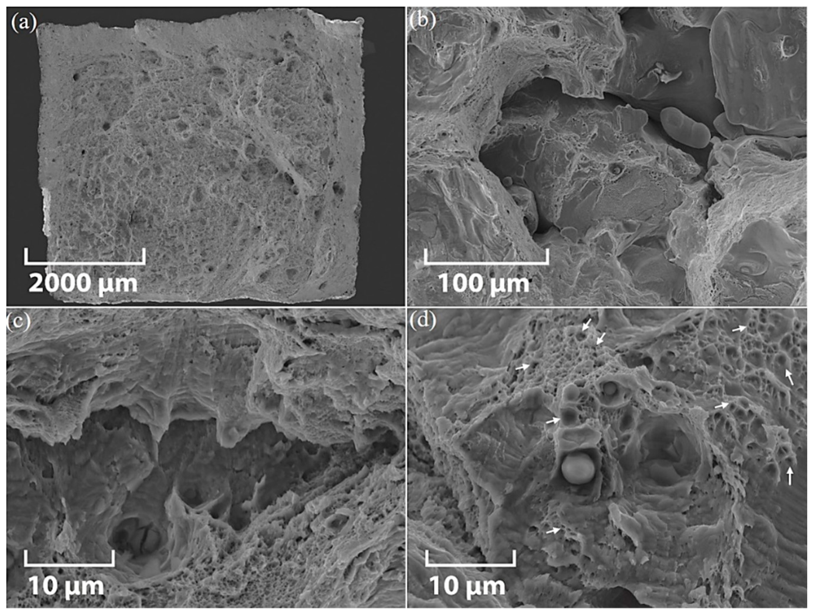 Materials 12 04203 g008 Materials 12 04203 g008