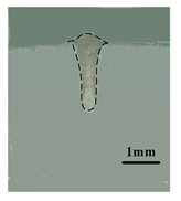 Materials 12 04207 i002 Materials 12 04207 i002