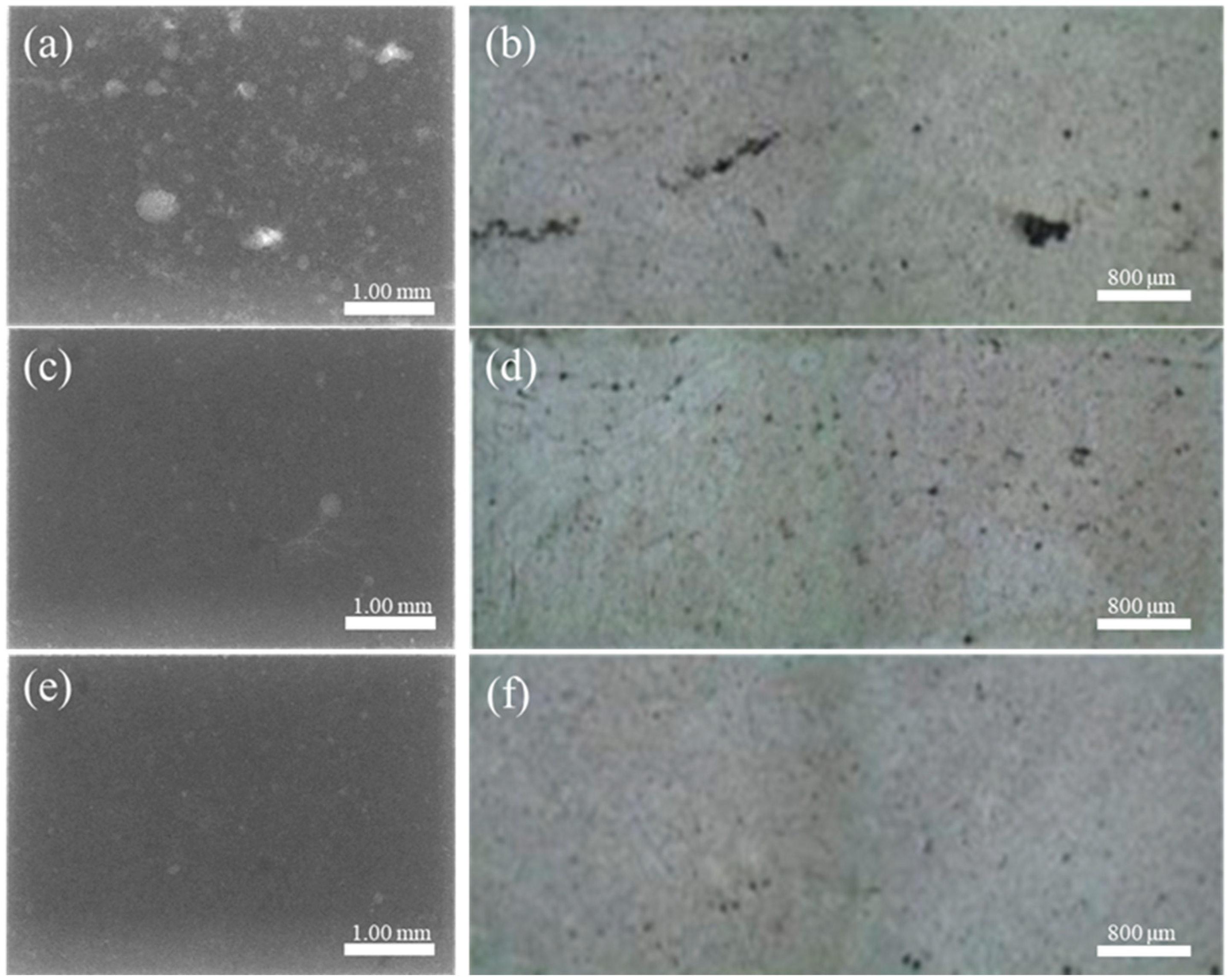 Materials 12 04219 g019 Materials 12 04219 g019