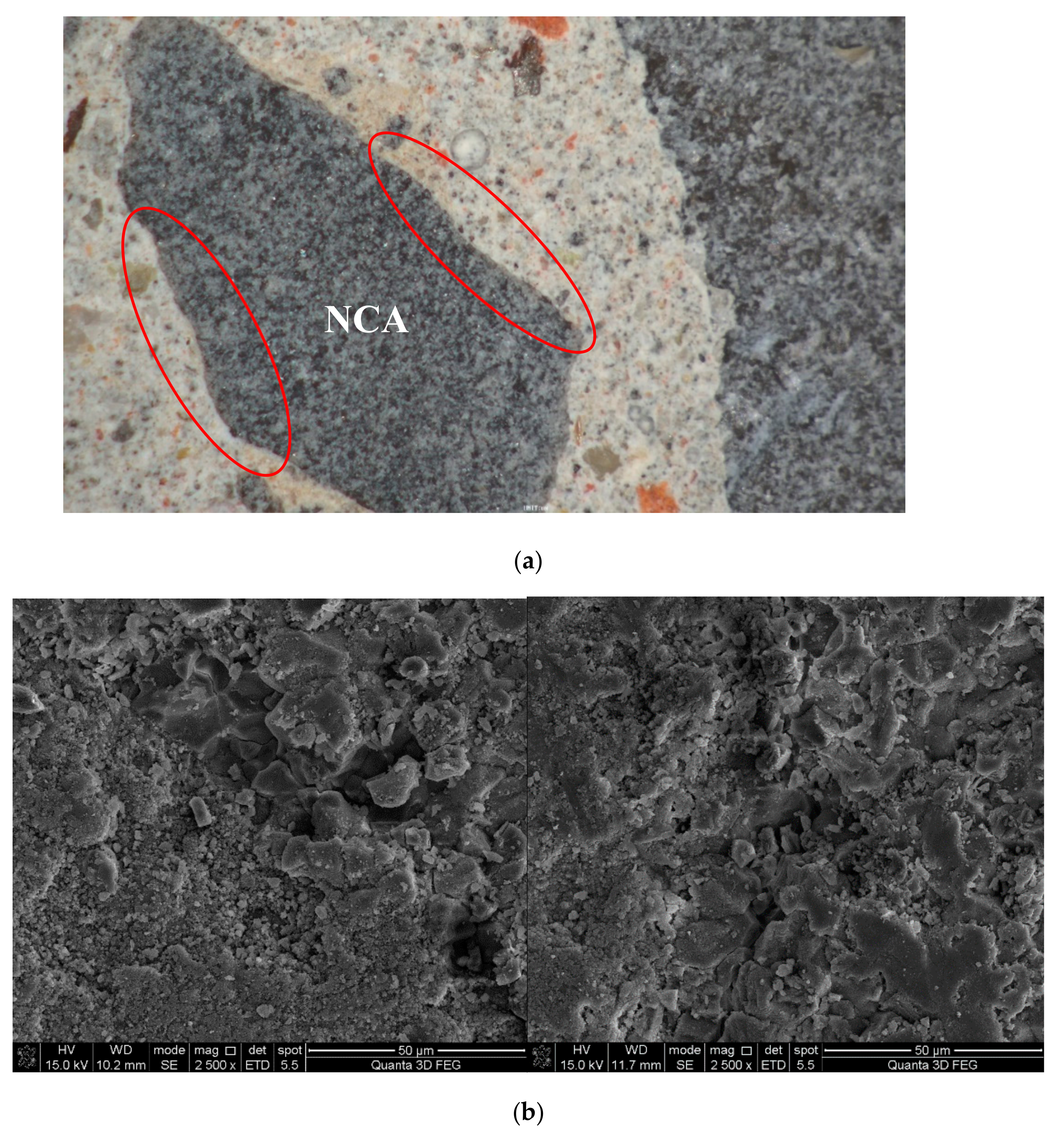 Materials 12 04237 g009 Materials 12 04237 g009