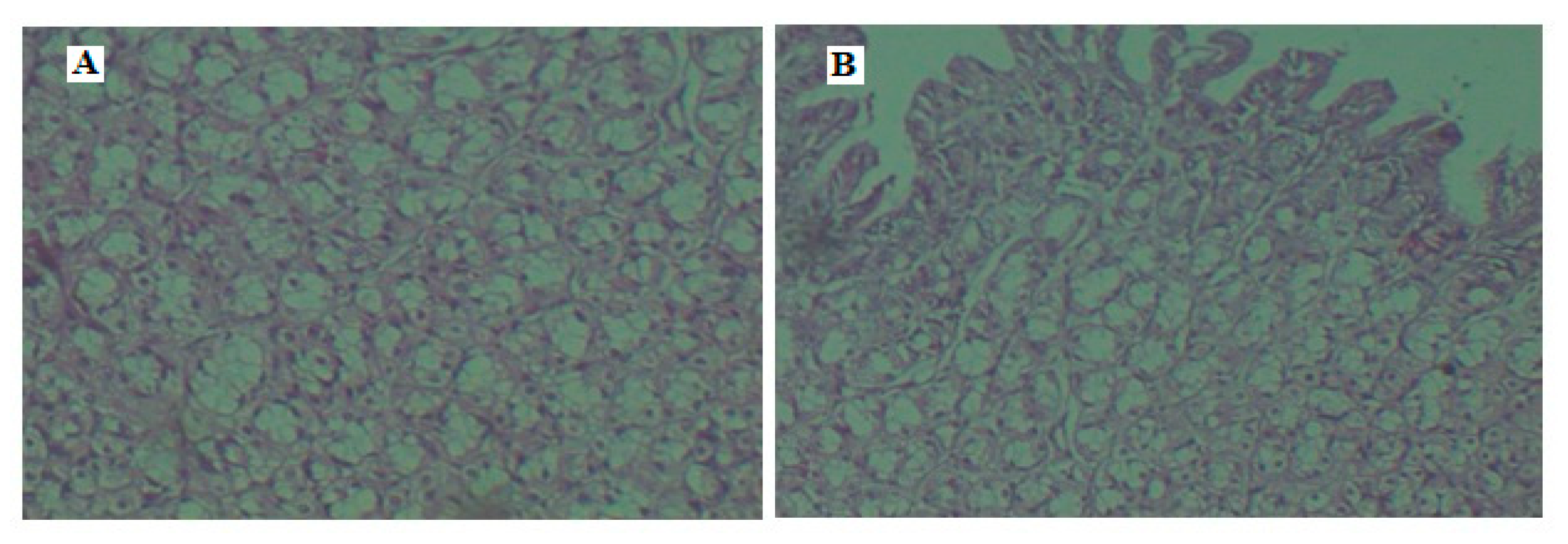 Materials 12 04239 g013 Materials 12 04239 g013