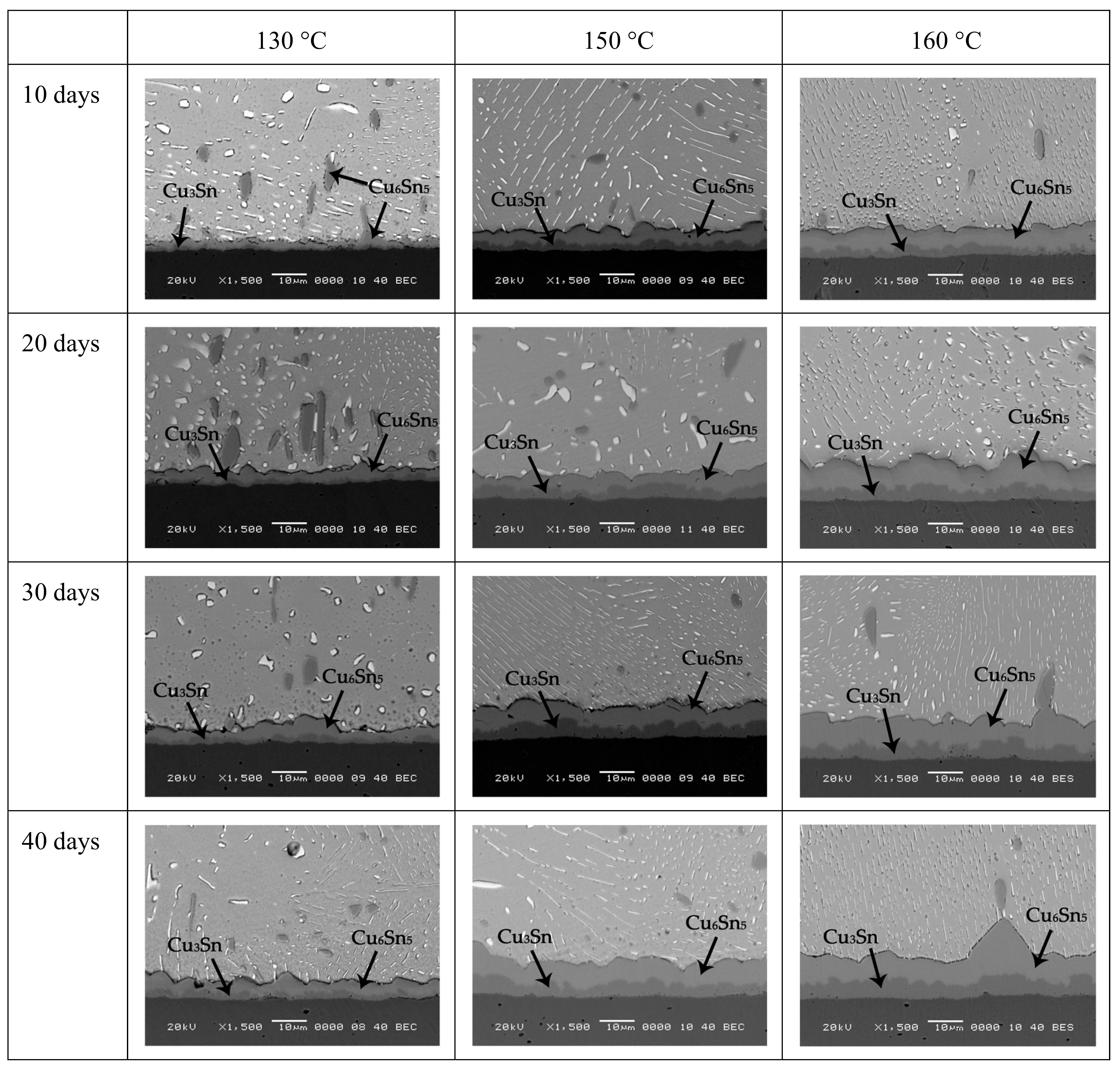 Materials 12 04240 g002