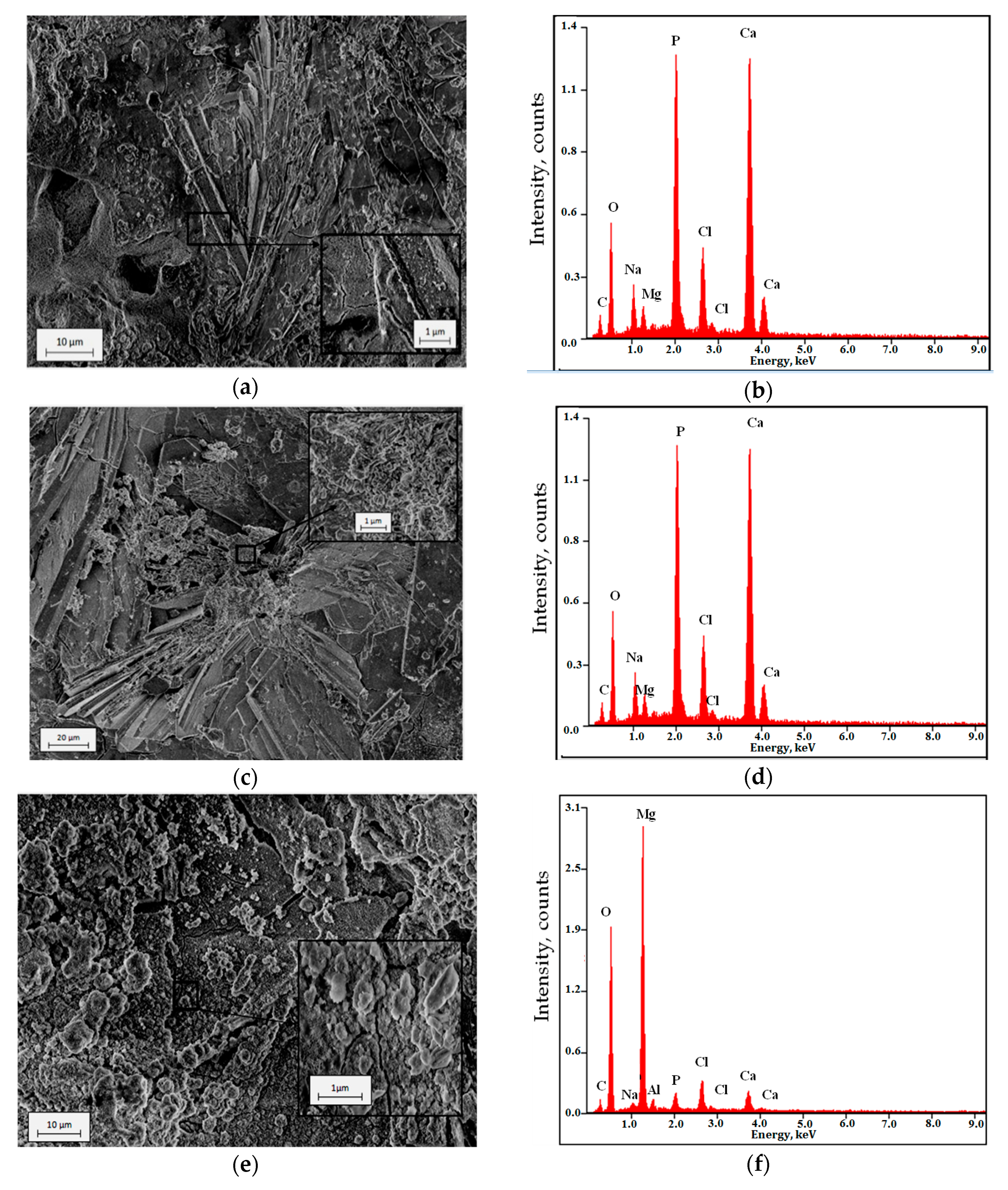 Materials 13 00002 g007