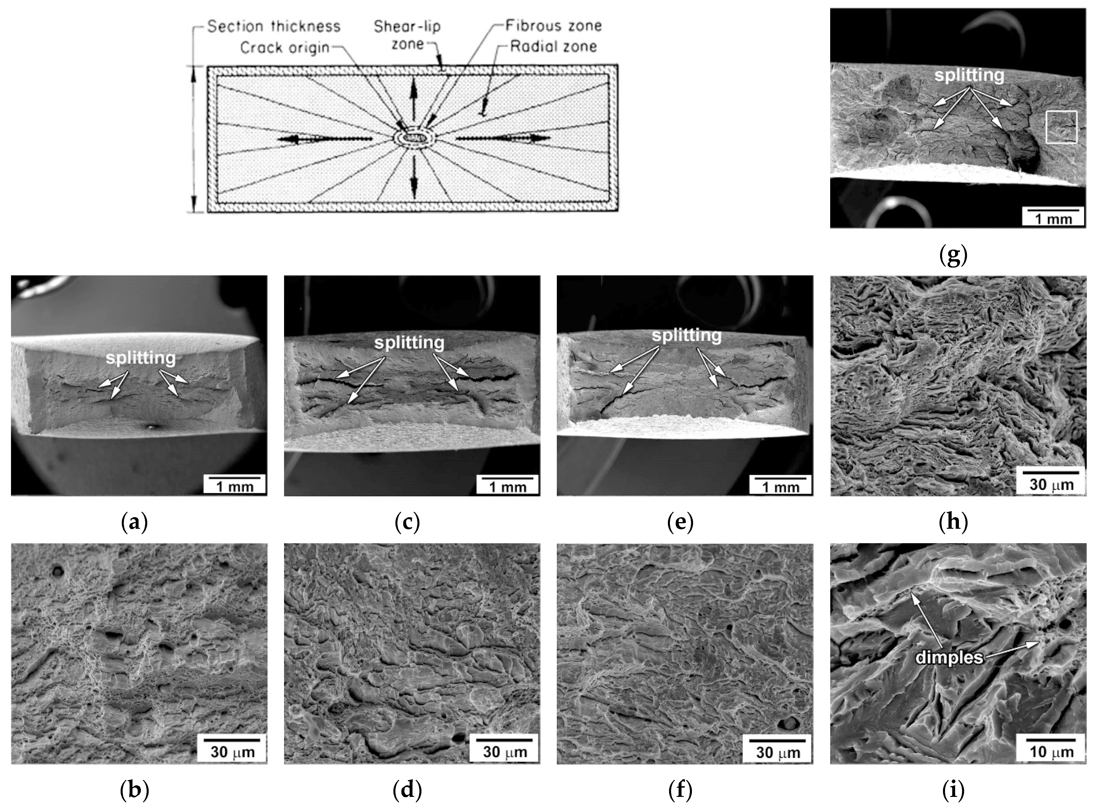 Materials 13 00003 g006 Materials 13 00003 g006