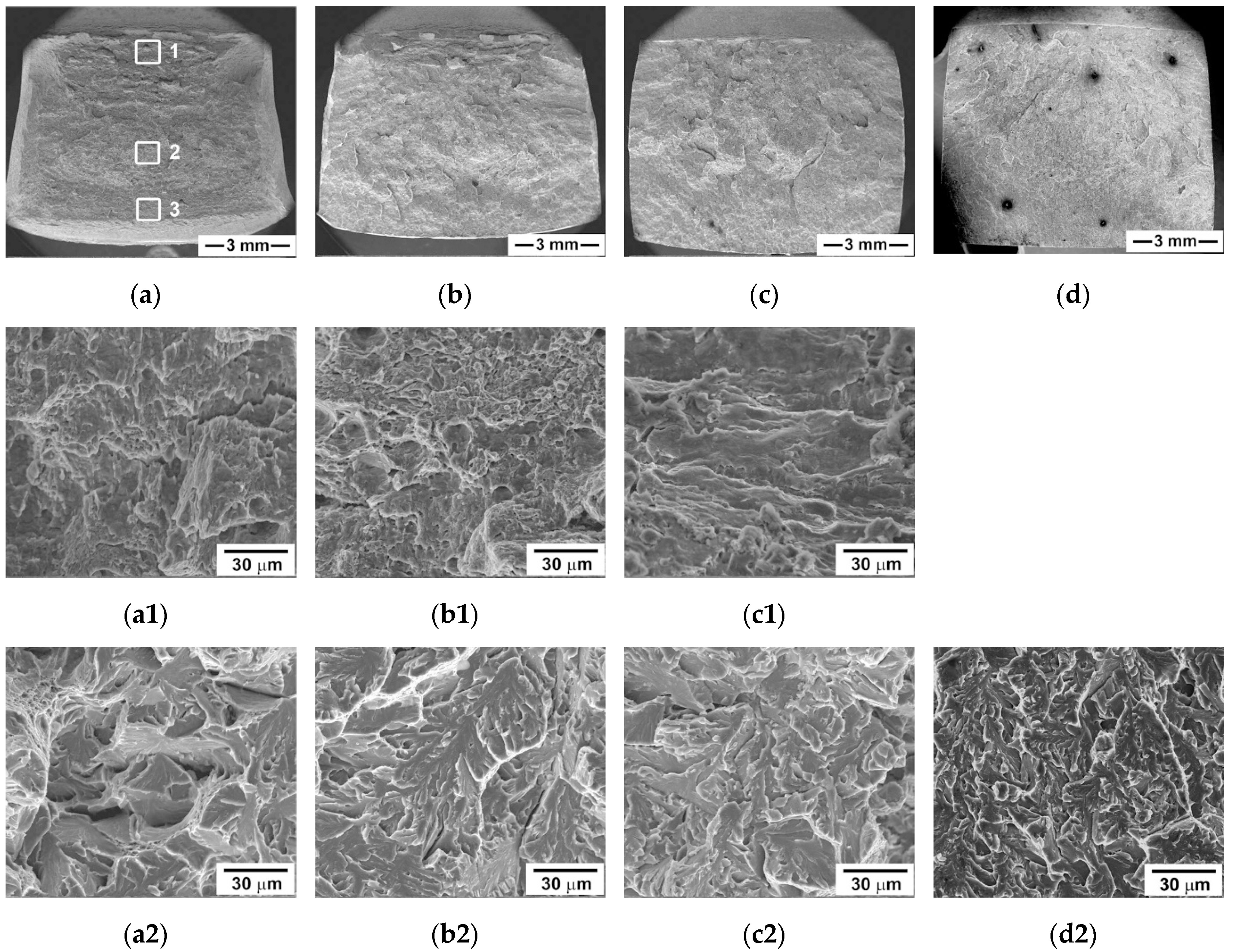 Materials 13 00003 g007a Materials 13 00003 g007a