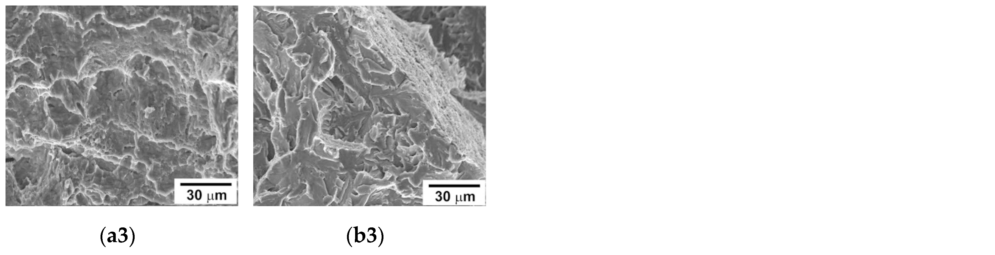 Materials 13 00003 g007b Materials 13 00003 g007b