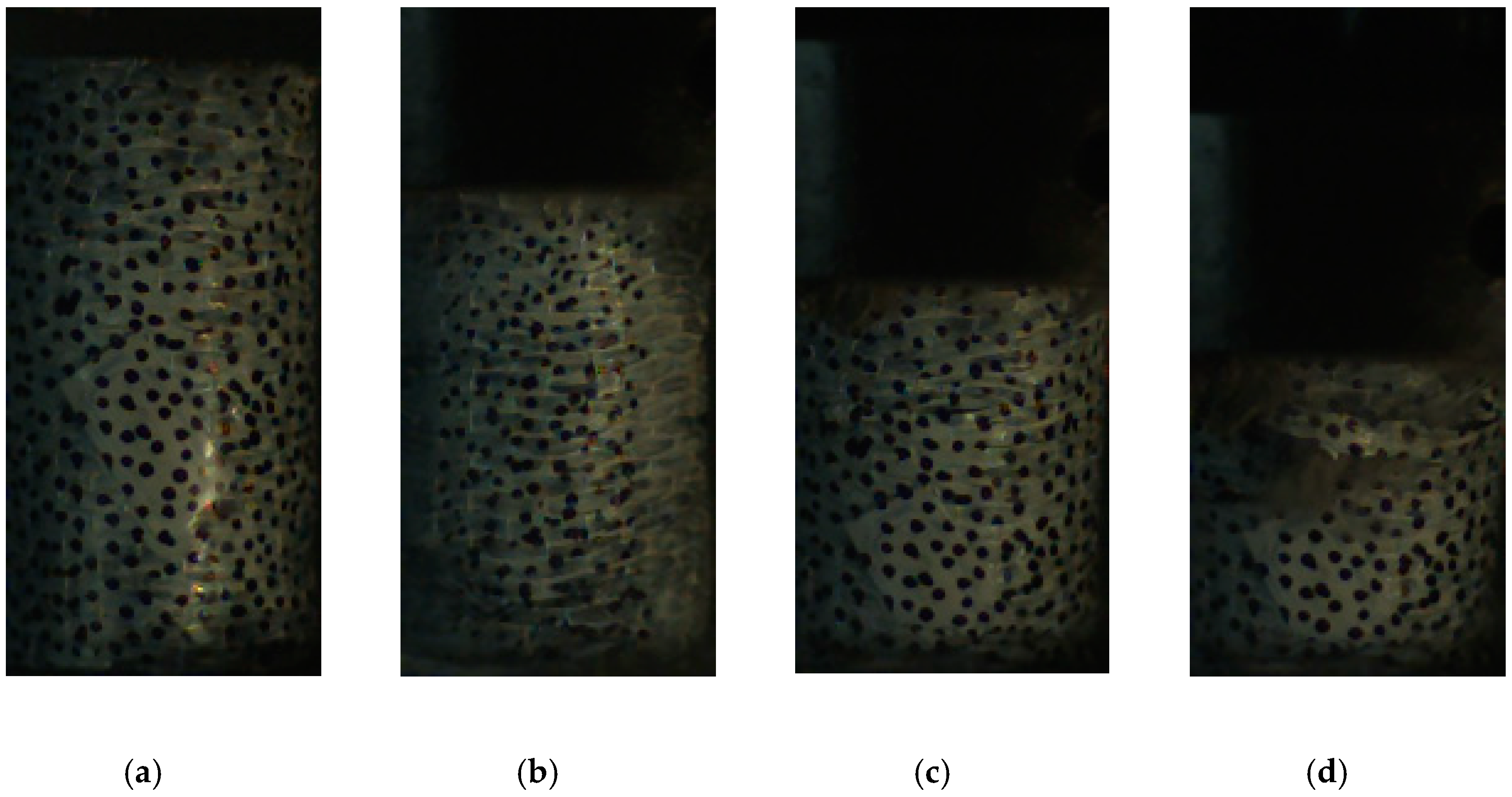 Materials 13 00010 g010 550