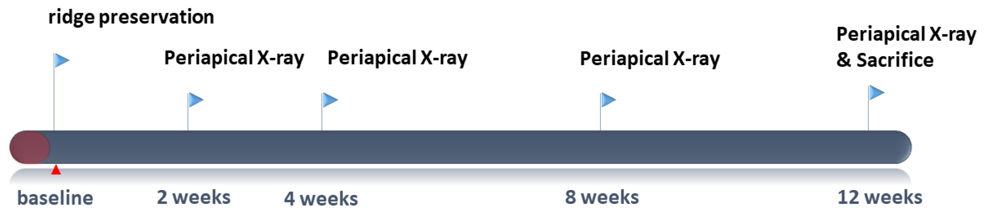 Materials 13 00018 g001