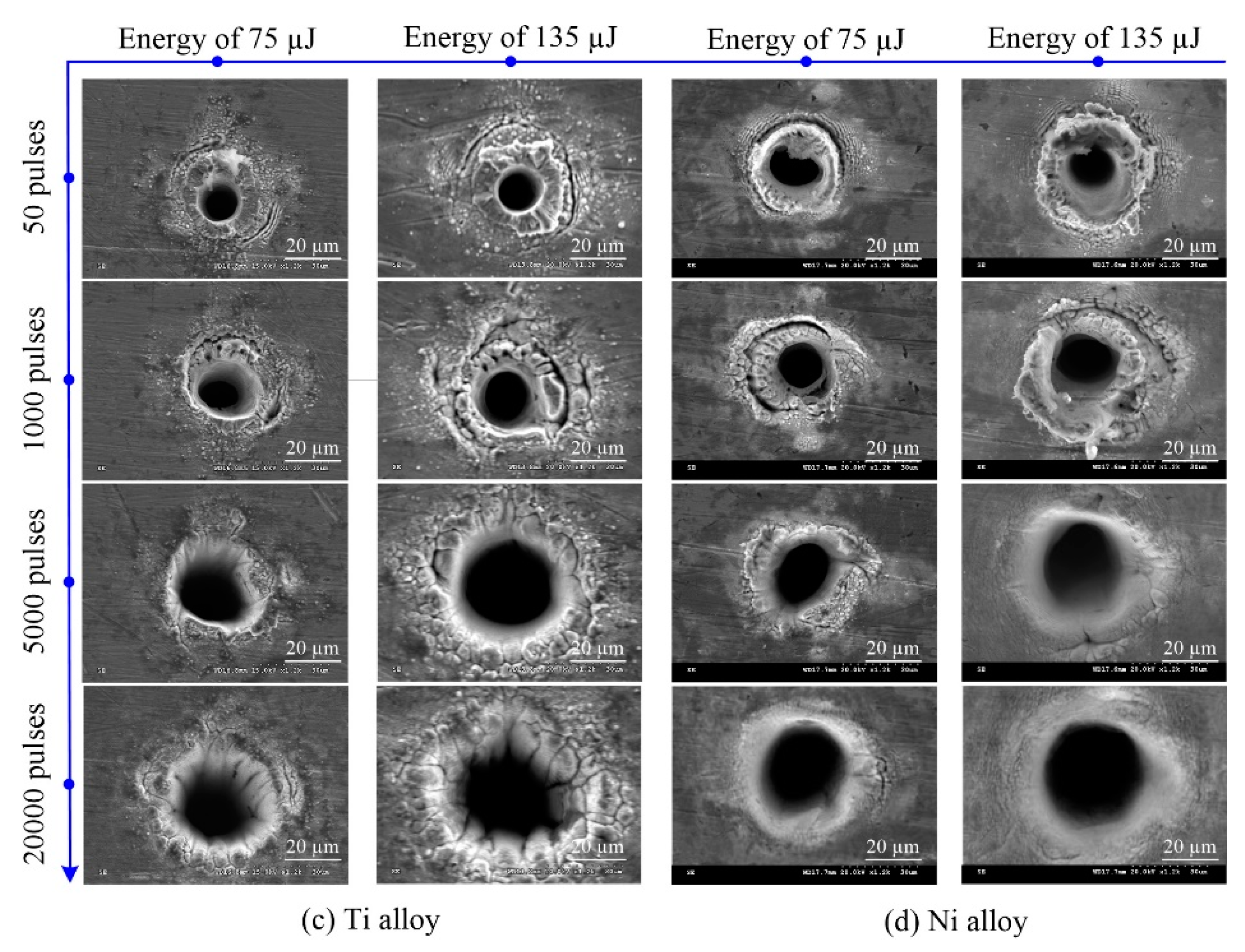 Materials 13 00031 g006b