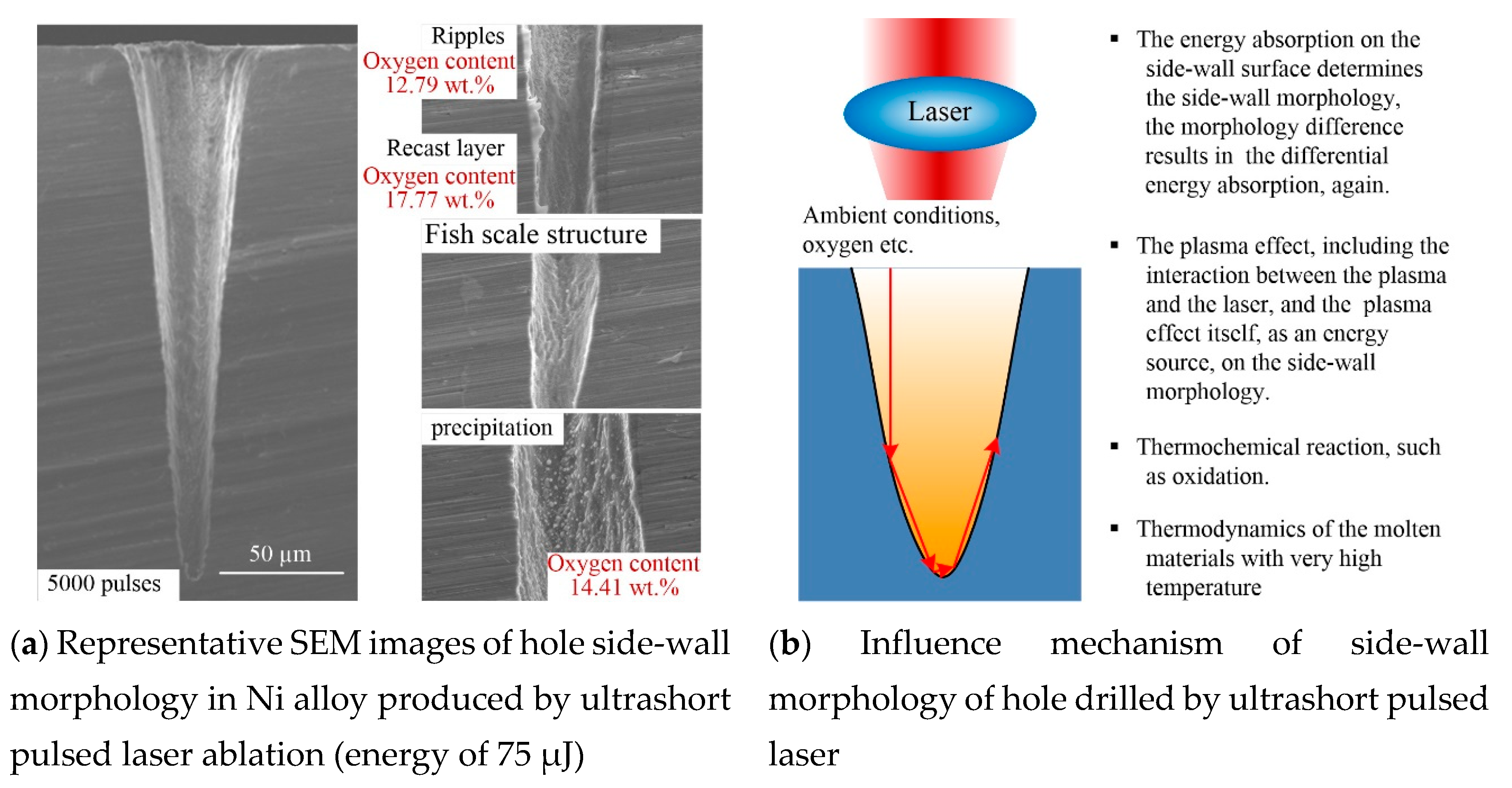 Materials 13 00031 g010