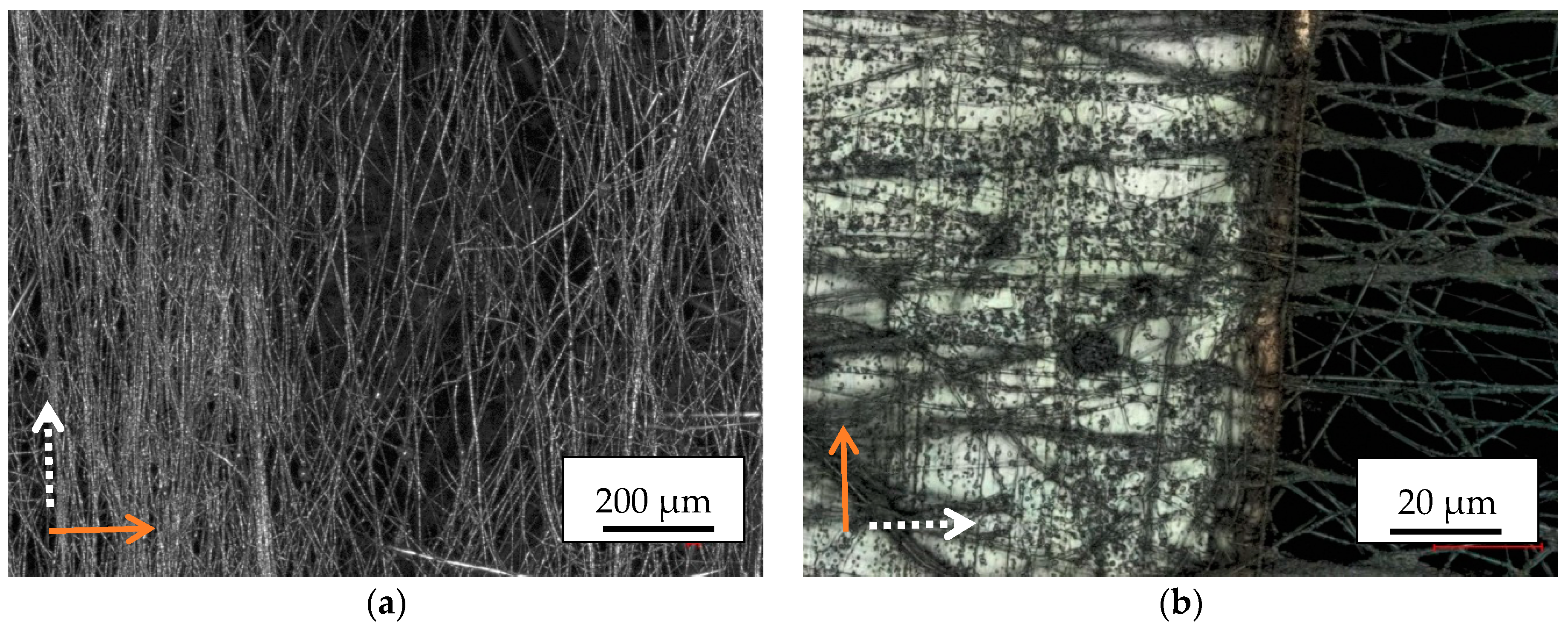 Materials 13 00047 g009 Materials 13 00047 g009