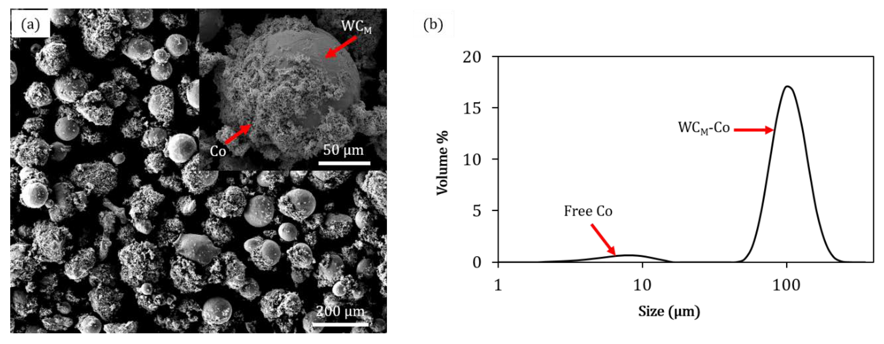 Materials 13 00050 g001