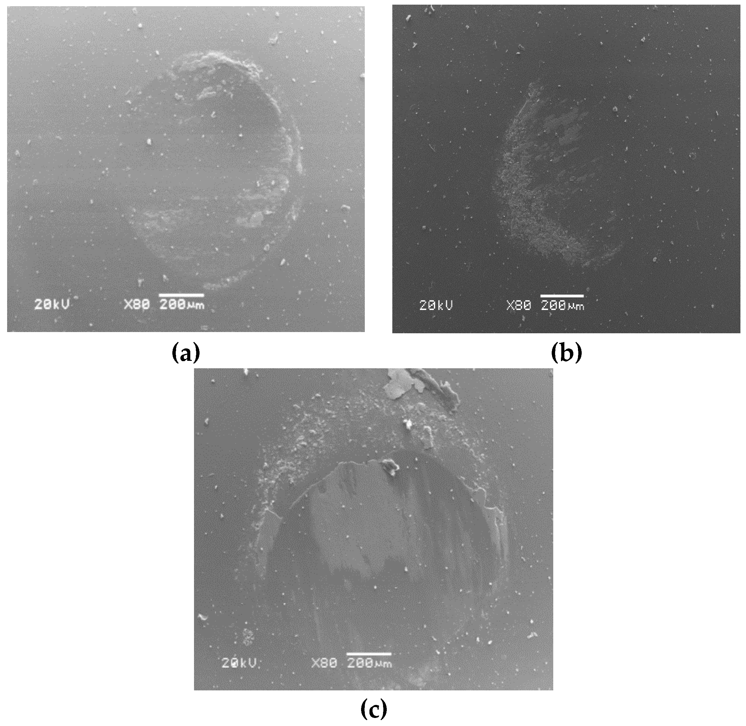 Materials 13 00051 g010 Materials 13 00051 g010
