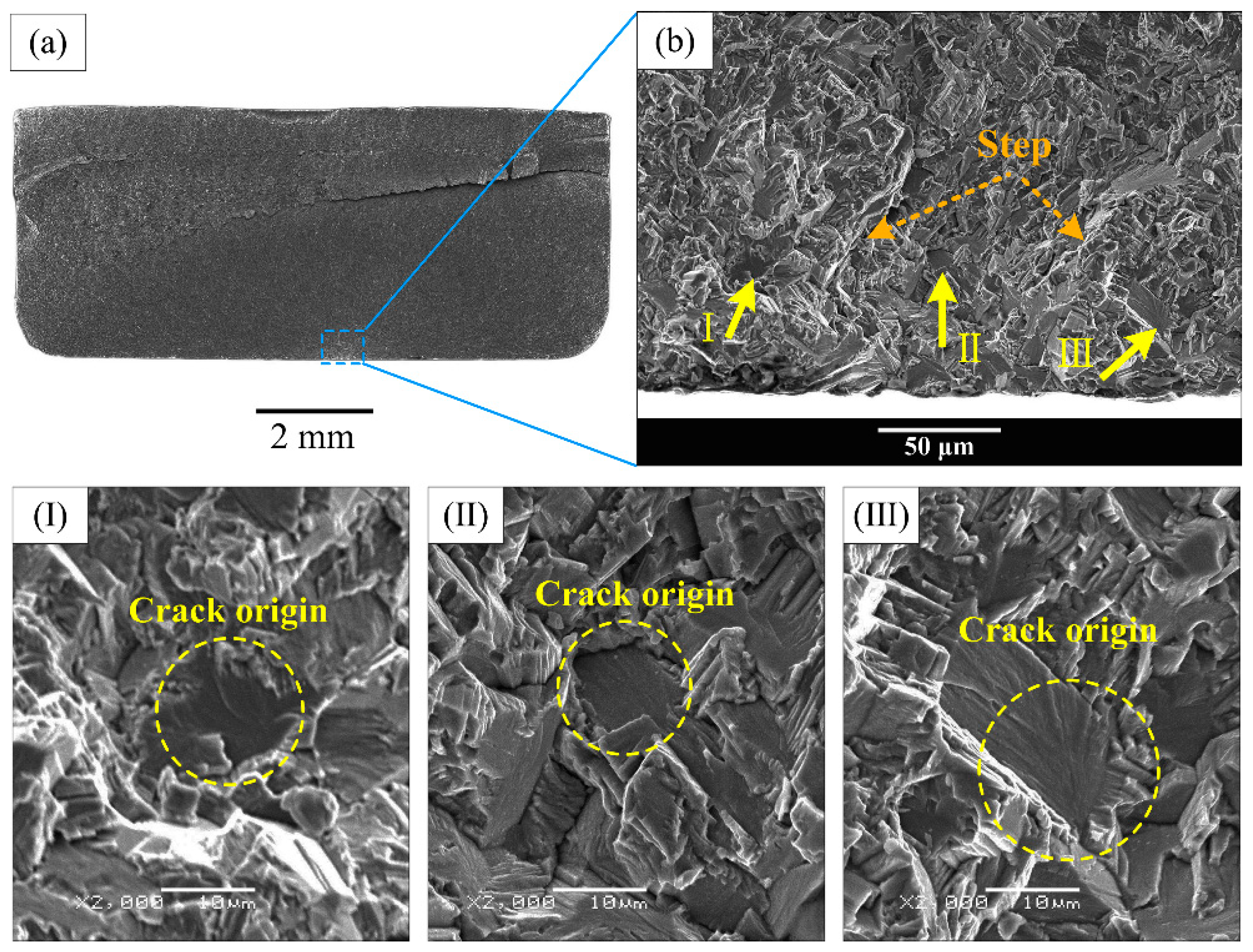 Materials 13 00068 g011 Materials 13 00068 g011