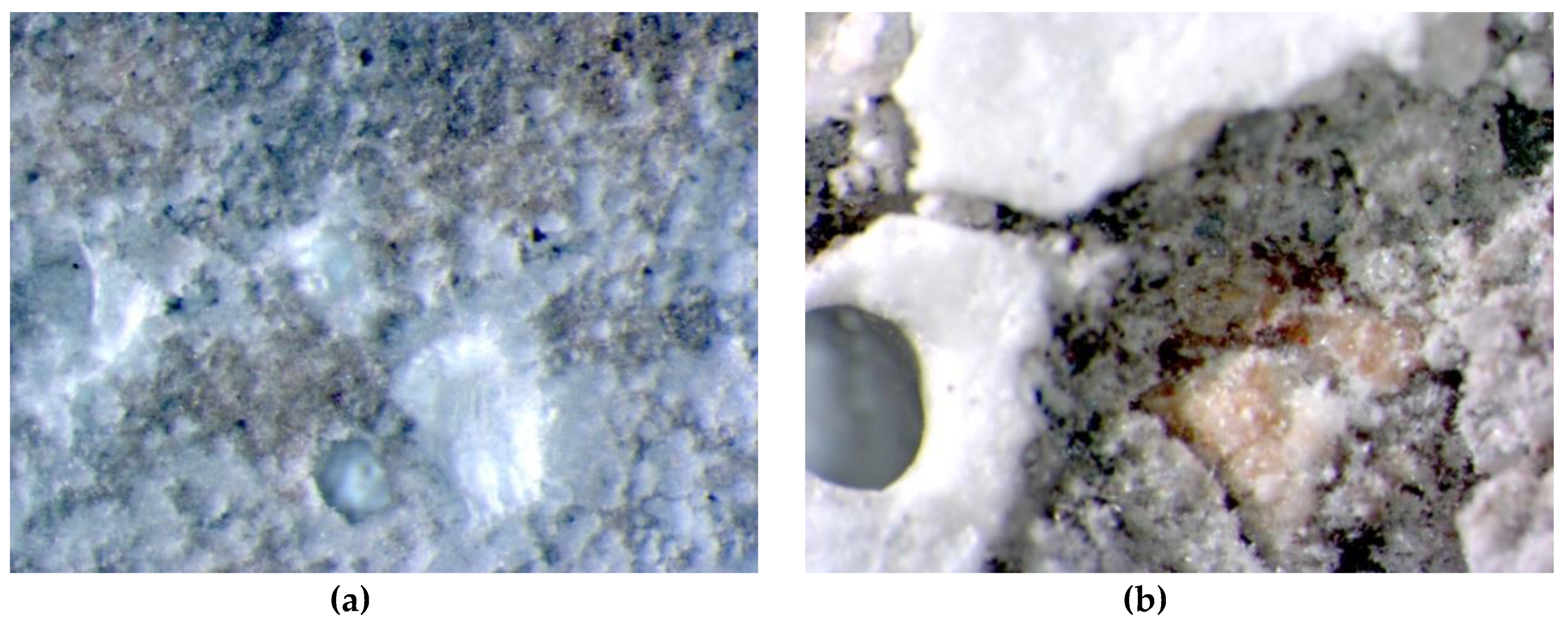 Materials 13 00071 g007