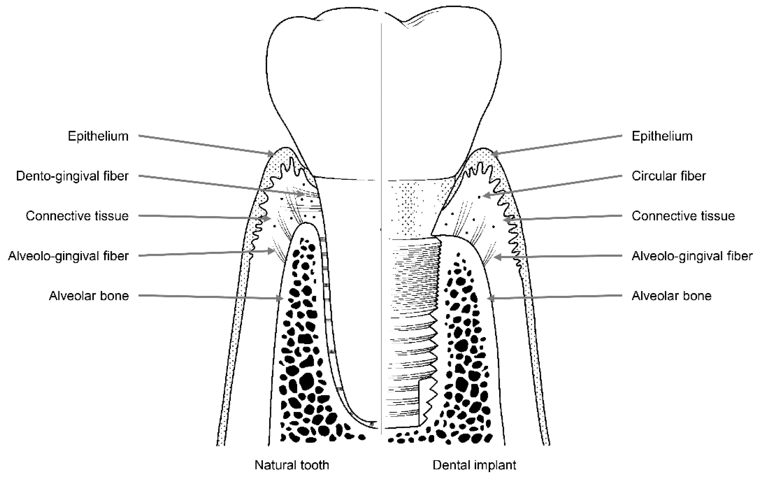 Materials 13 00072 g002 Materials 13 00072 g002