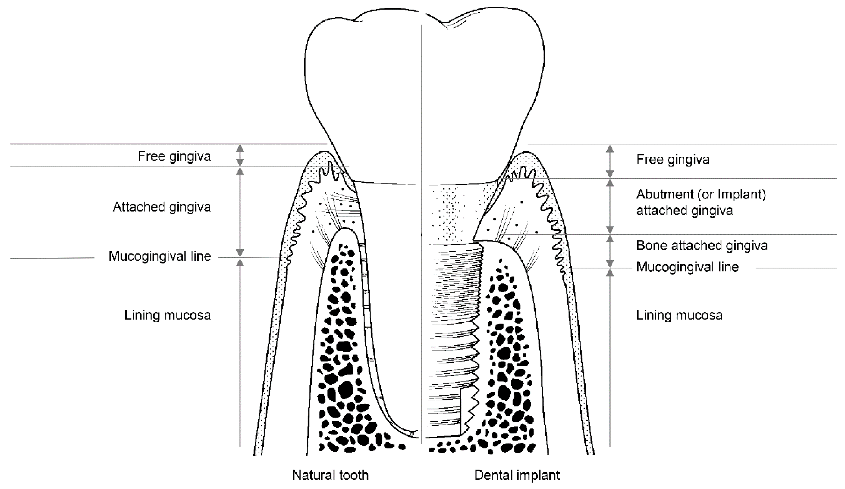 Materials 13 00072 g003 Materials 13 00072 g003