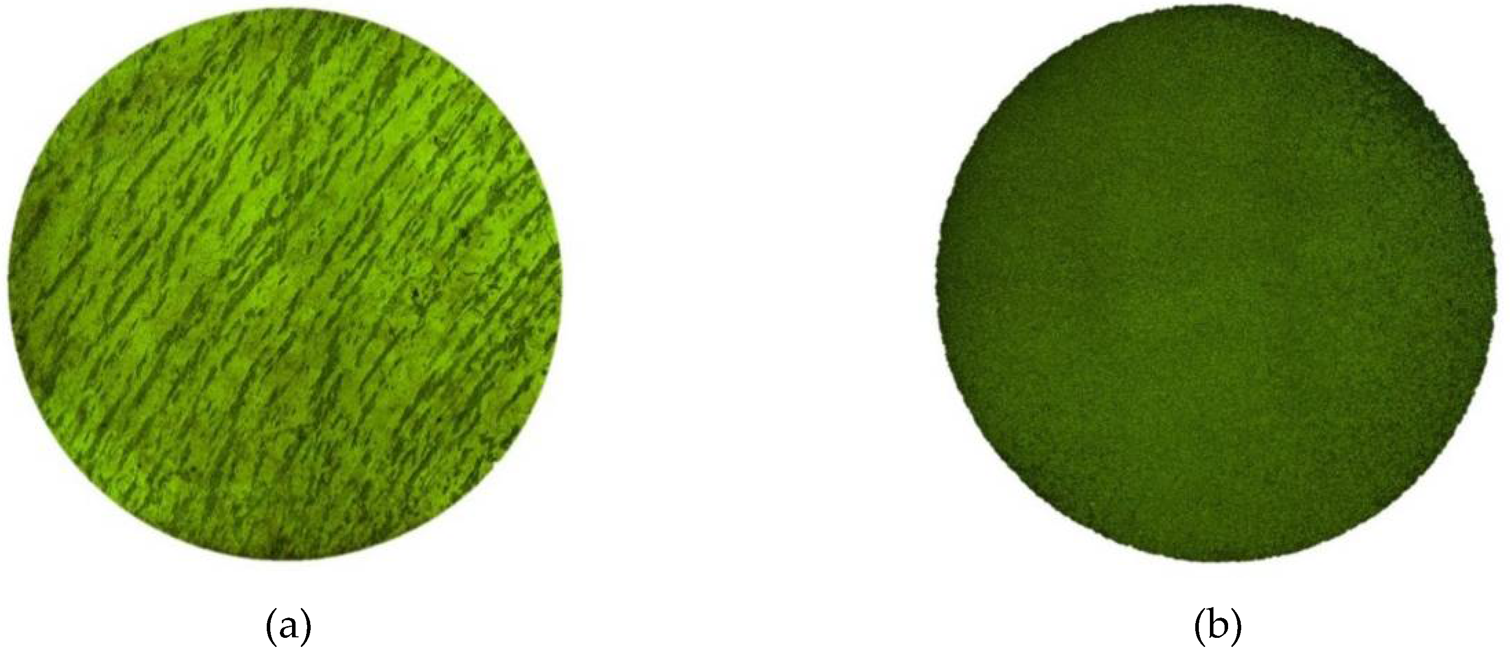 Materials 13 00076 g001 Materials 13 00076 g001