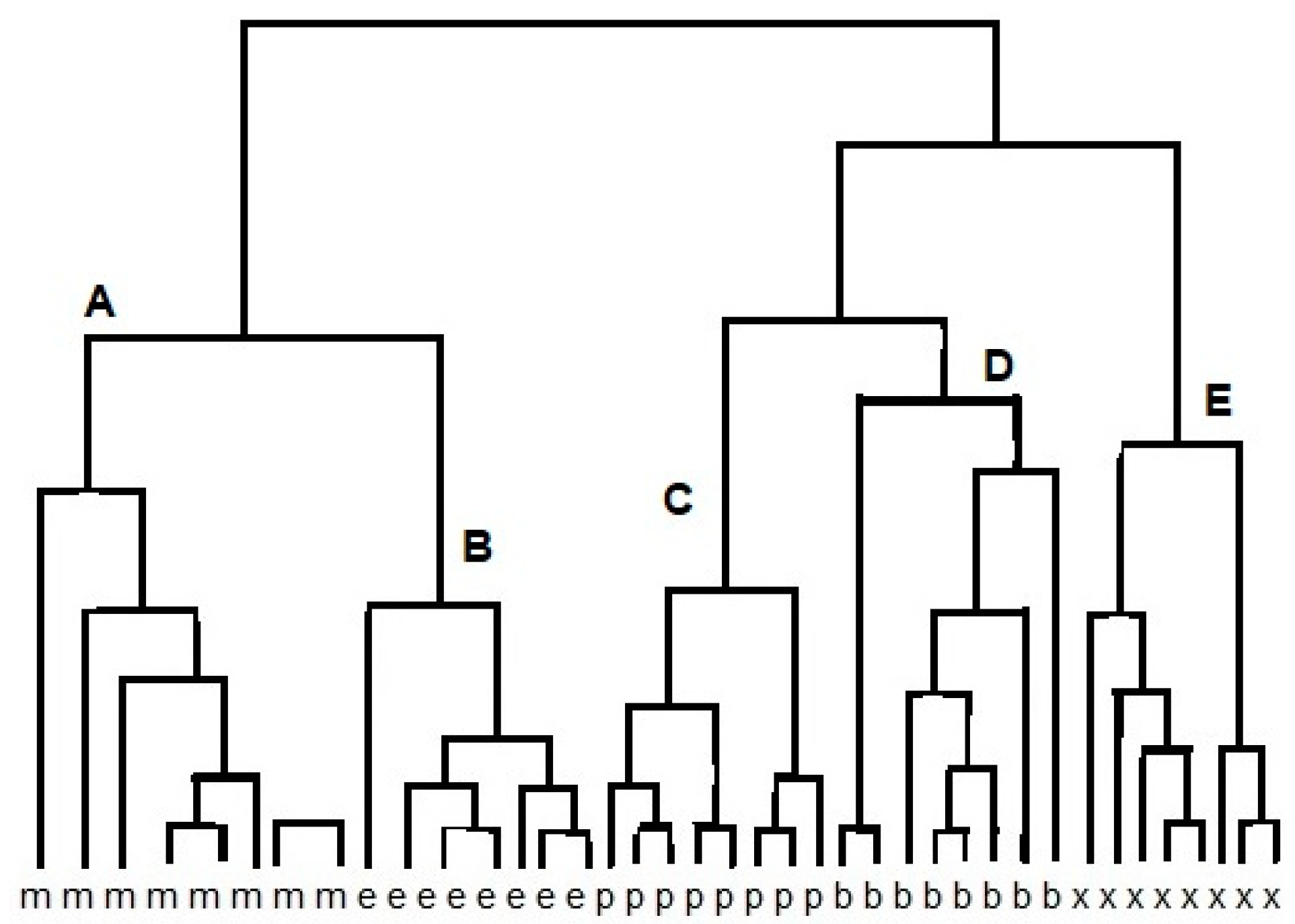 Materials 13 00080 g002 Materials 13 00080 g002