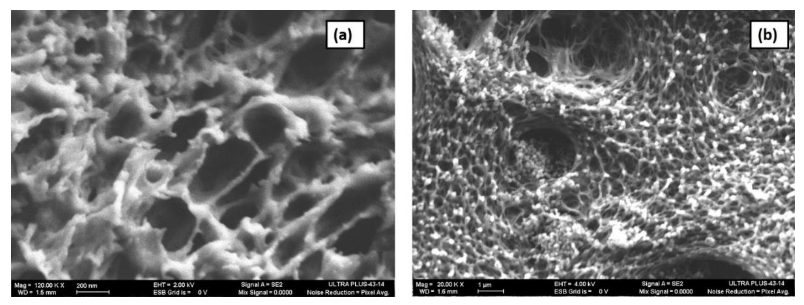 Materials 13 00083 g007 Materials 13 00083 g007