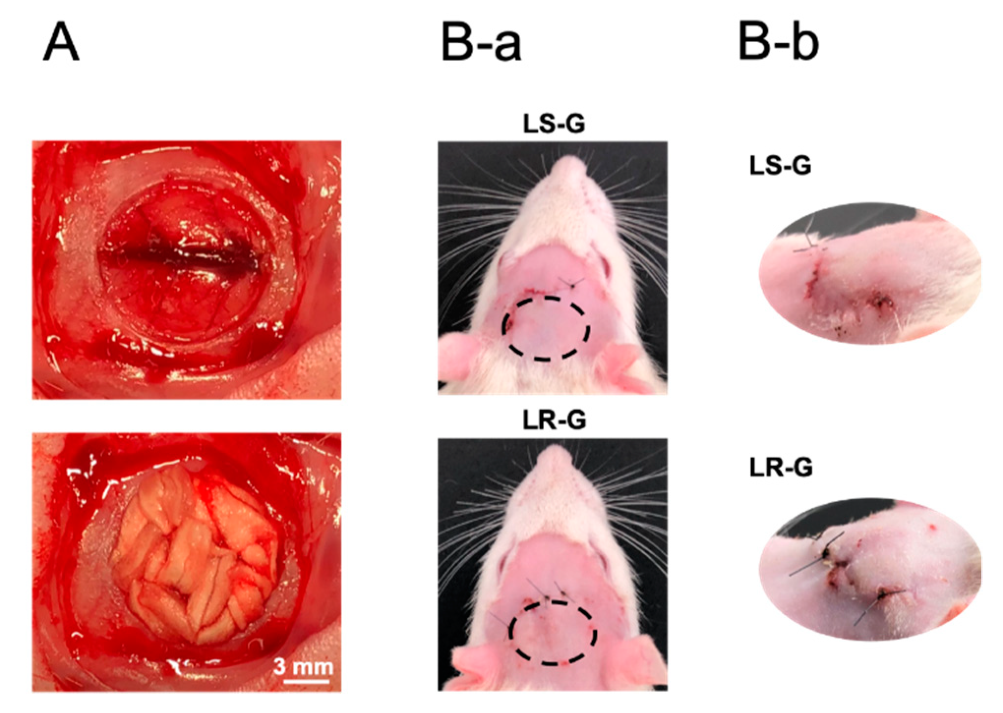 Materials 13 00095 g003 Materials 13 00095 g003