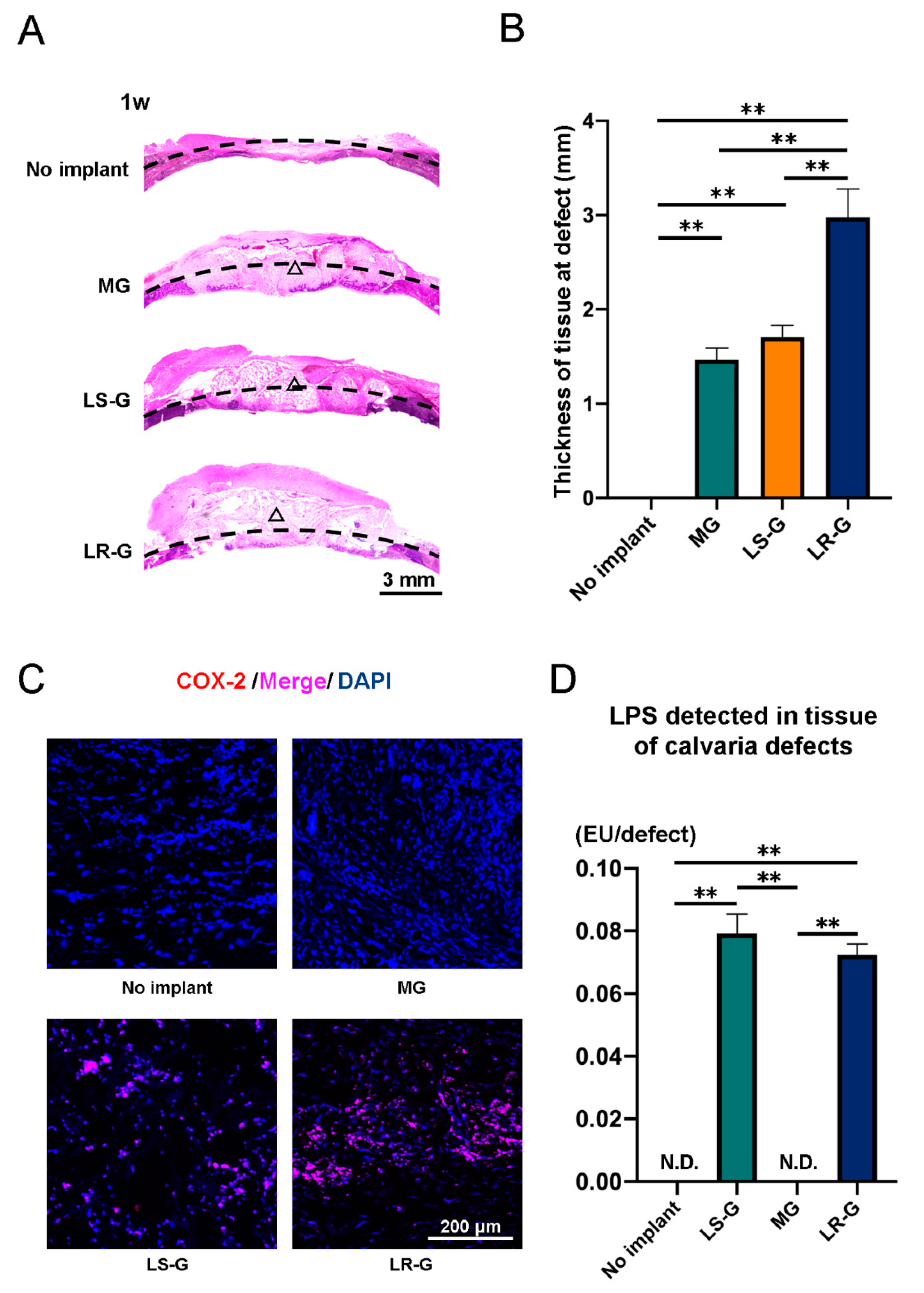 Materials 13 00095 g004 Materials 13 00095 g004
