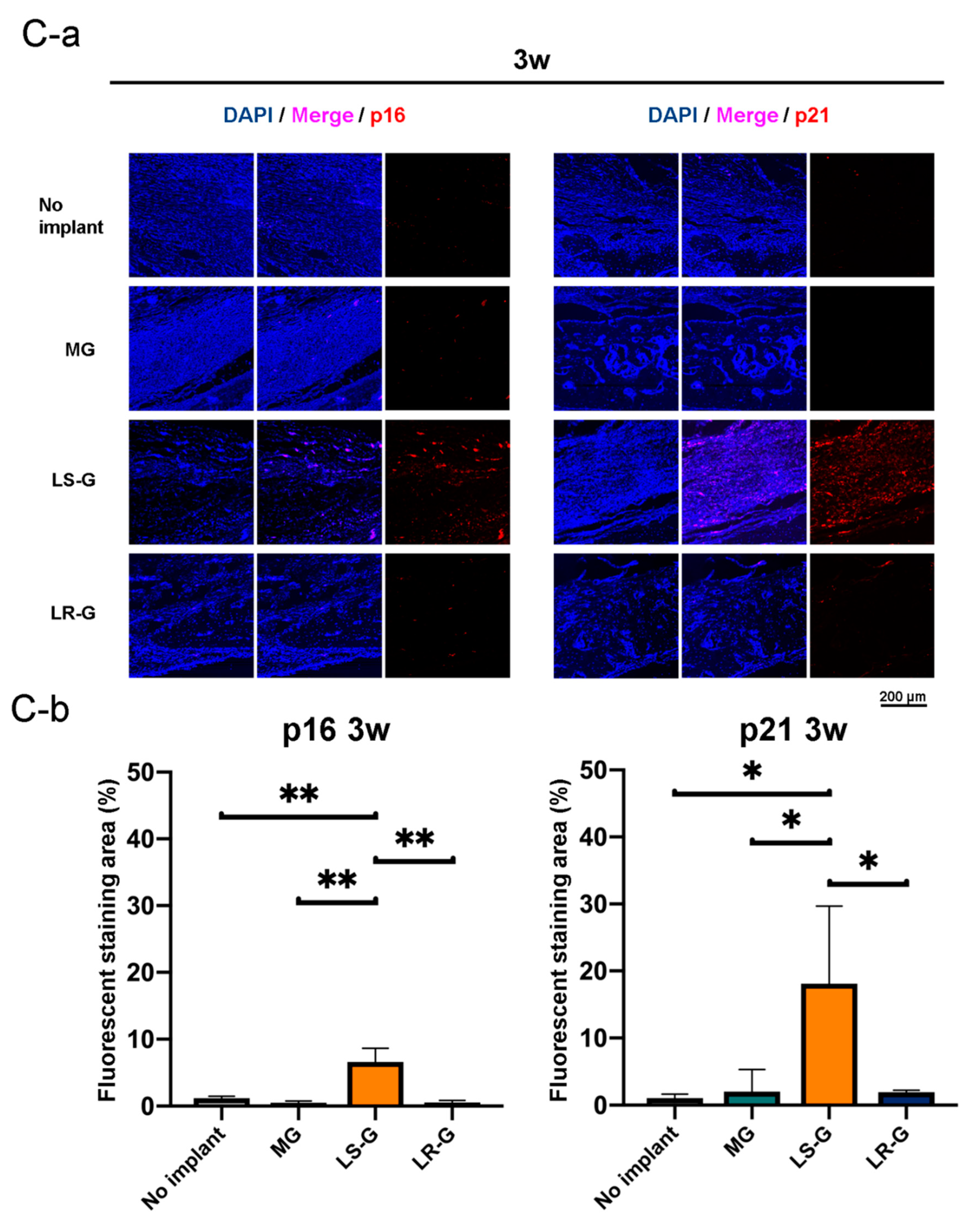 Materials 13 00095 g007c Materials 13 00095 g007c