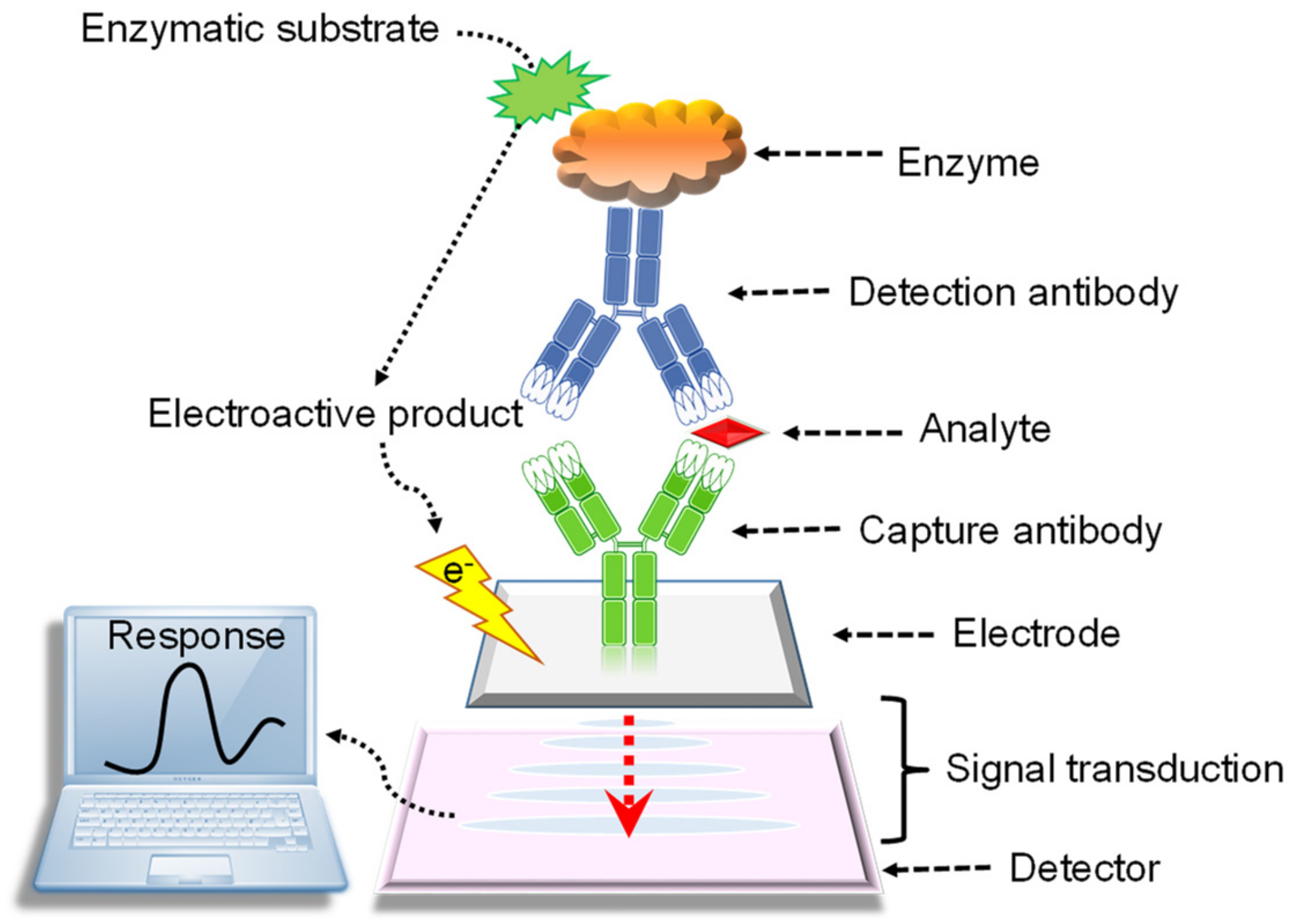 Materials Free FullText Graphene Quantum DotBased Electrochemical
