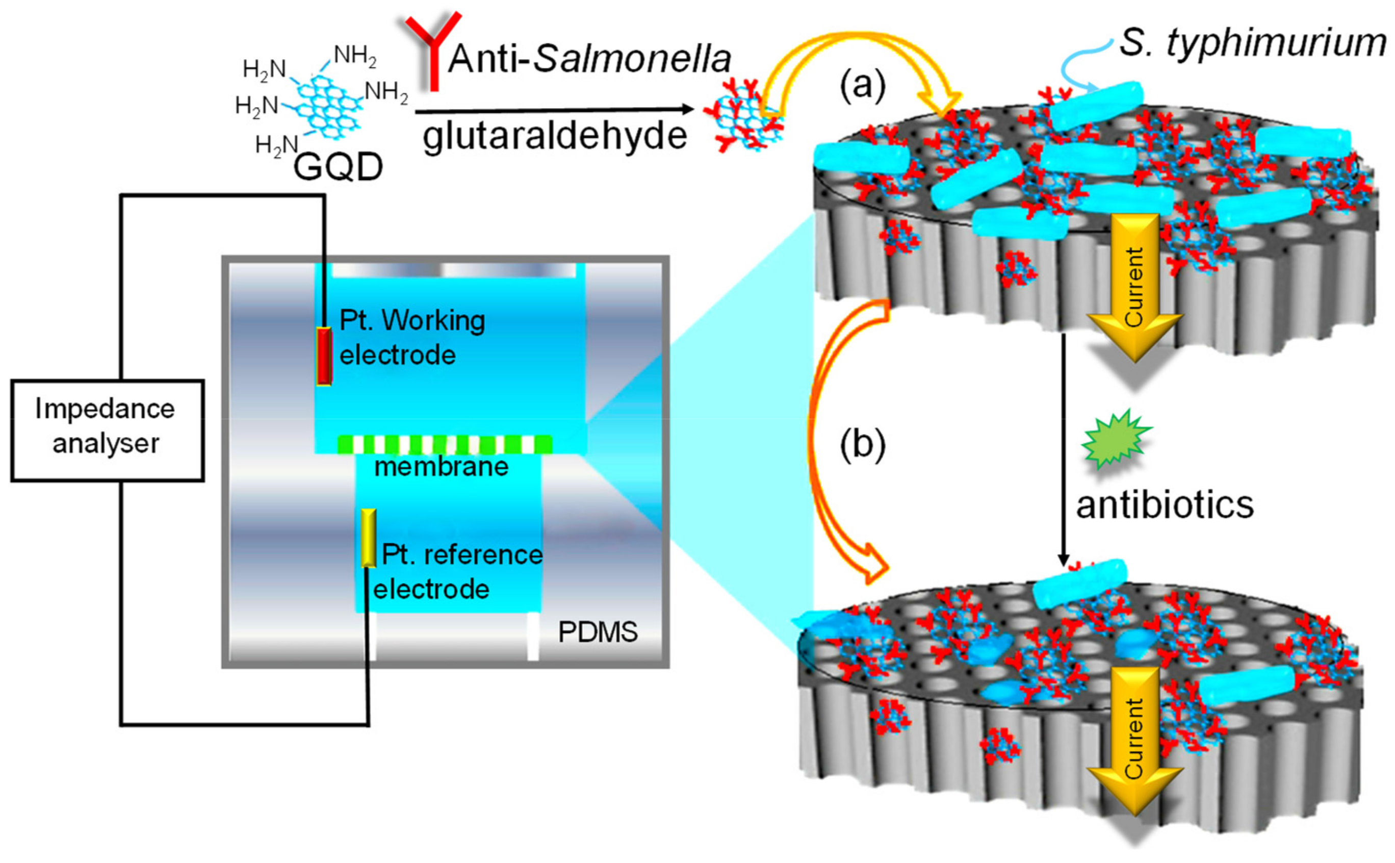Materials 13 00096 g014