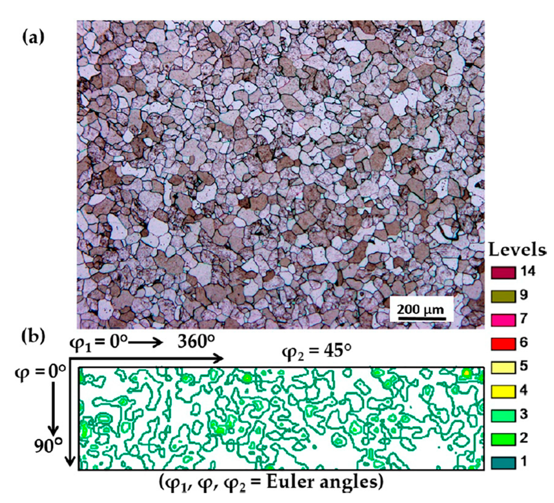 Materials 13 00101 g001