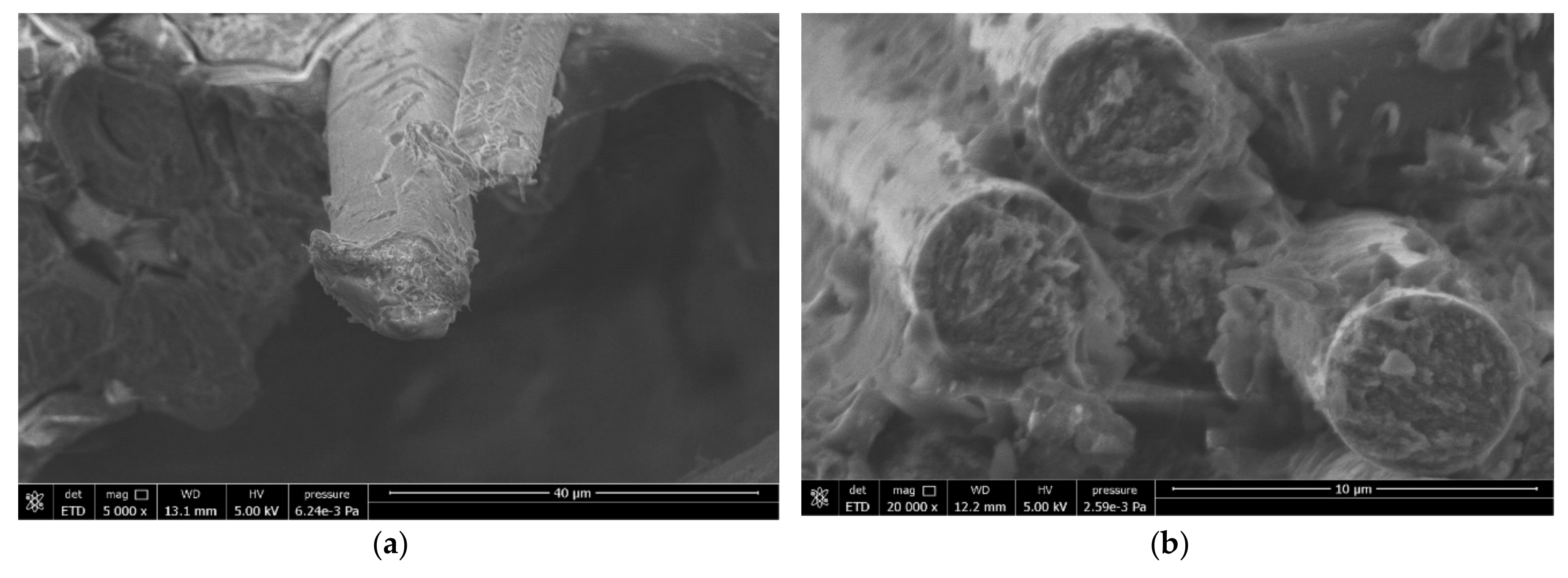 Materials 13 00109 g006