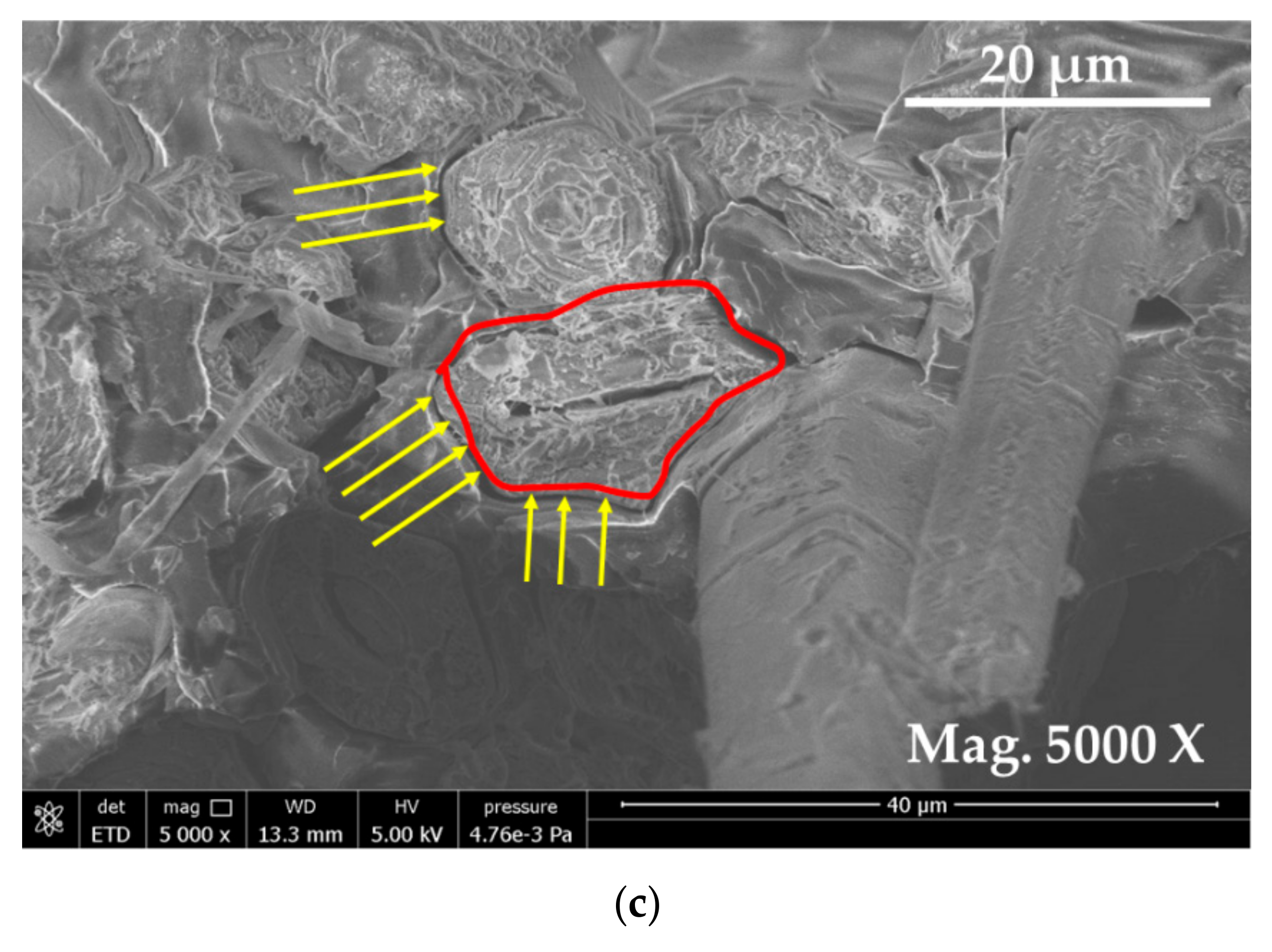 Materials 13 00109 g008b