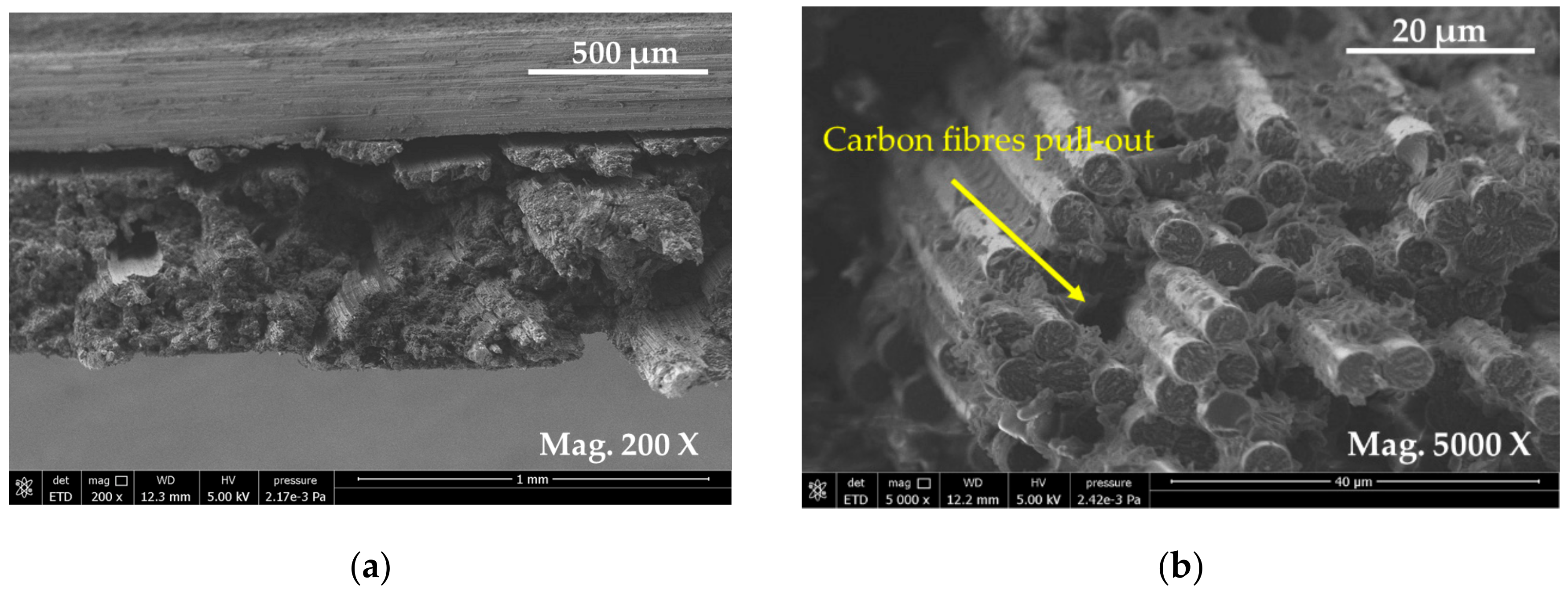 Materials 13 00109 g009